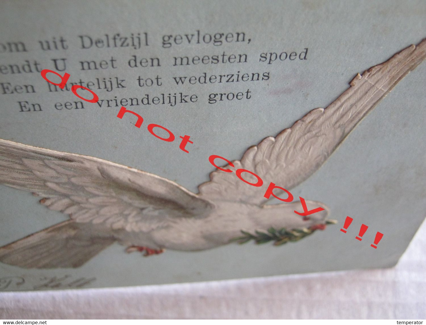 White Dove With Twig / Netherlands - Delfzijl Gevlogen ... ( 1905 ) Ges. Gesch - Delfzijl