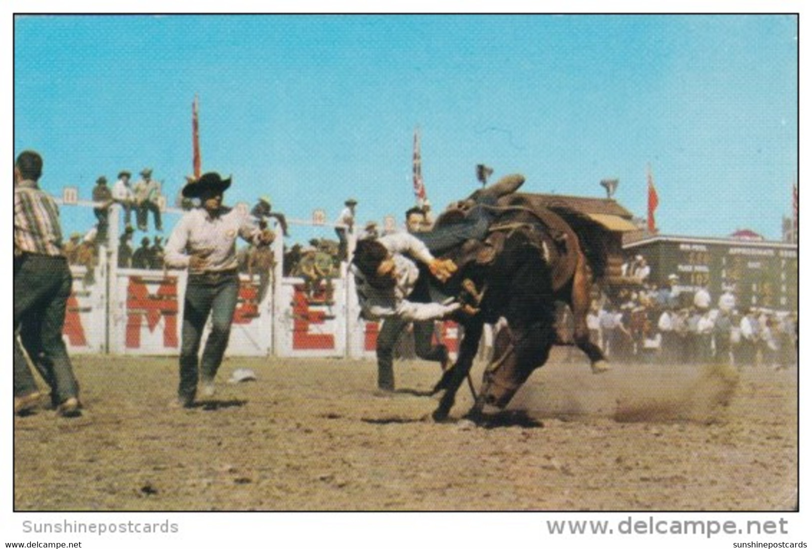 Canada Bucking Horse Contest Calgary Stampede Calgary Alberta - Calgary