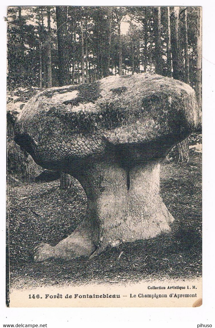 FR-4595   Le CHAMPIGNON D'APREMONT - Dolmen & Menhirs