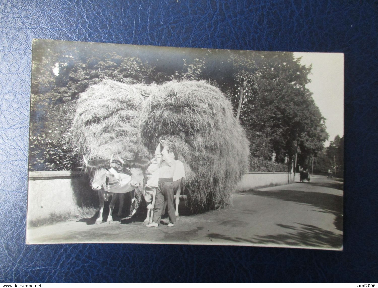 CPA PHOTO 64 ATTELAGE BEARNAIS BOEUFS CHARRETTE FOIN - Bearn