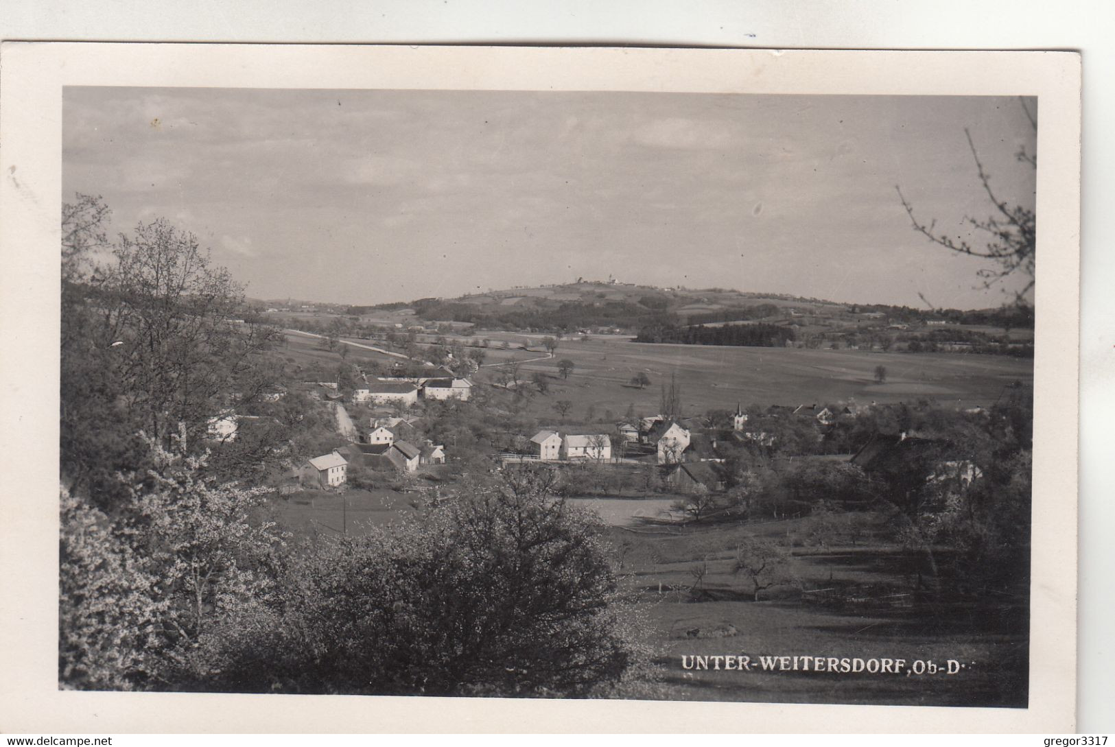 A6526) UNTER WEITERSDORF - Oberdonau - Freistadt - Mühlviertel - Alte Ansicht Häuser 03.06.1943 Unterweissenbach - Freistadt