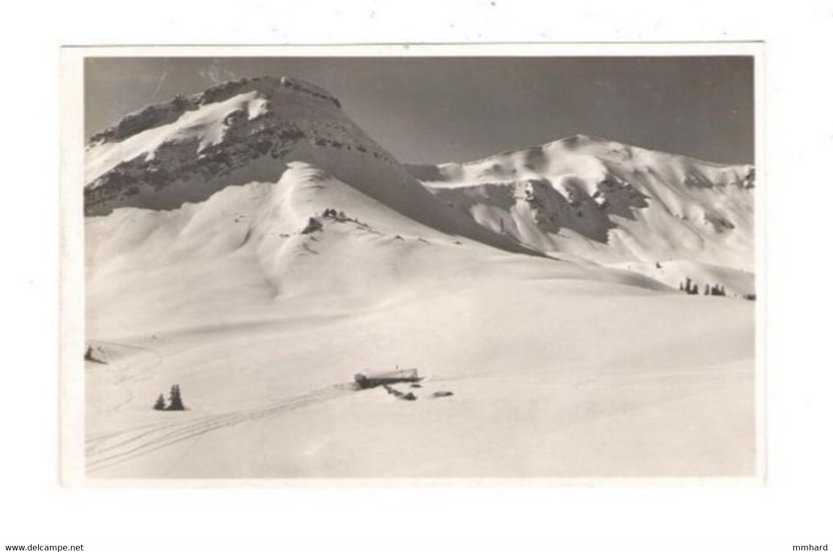 AK Skiparadies Berwang Gelaufen 1930 Tirol Österreich - Berwang