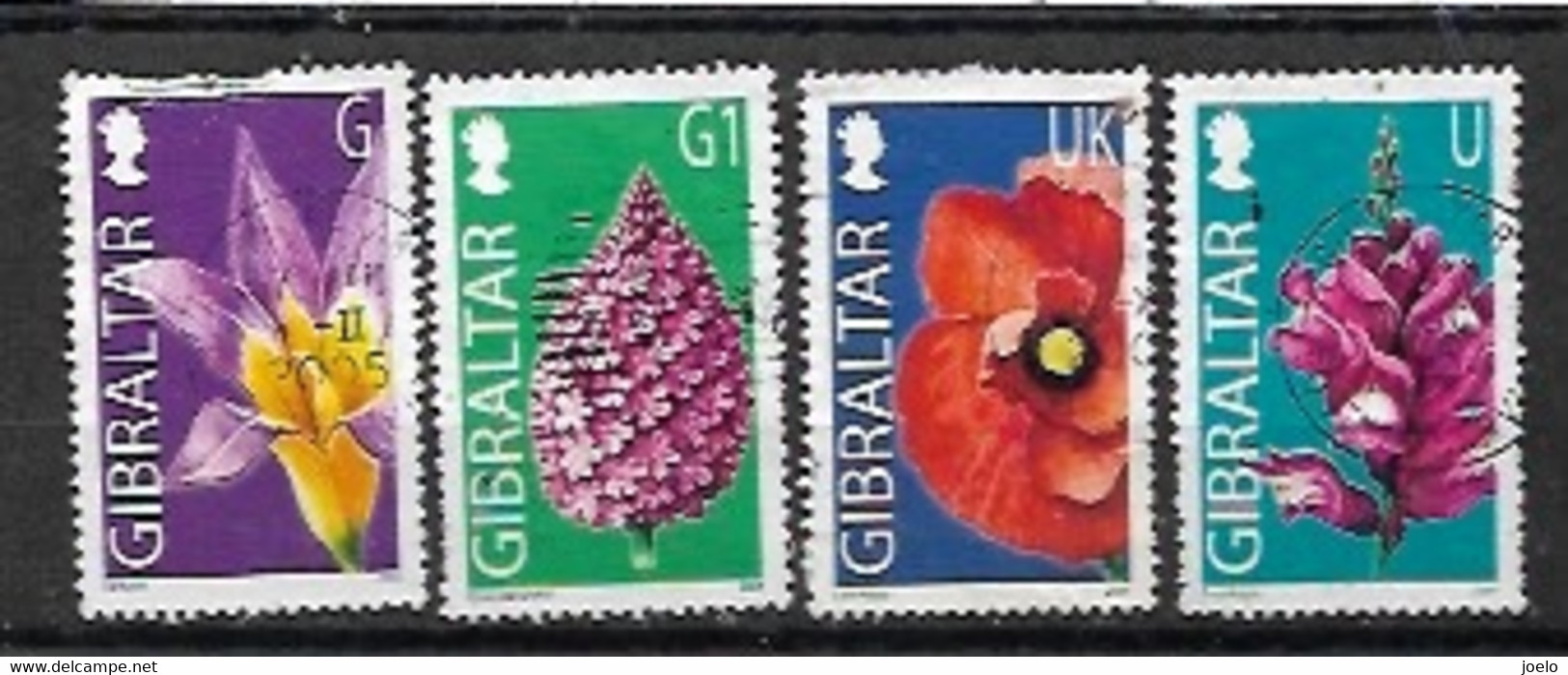 GIBRALTAR 2004 FLOWERS DEFINITIVES NIV's SELECTION - Gibraltar