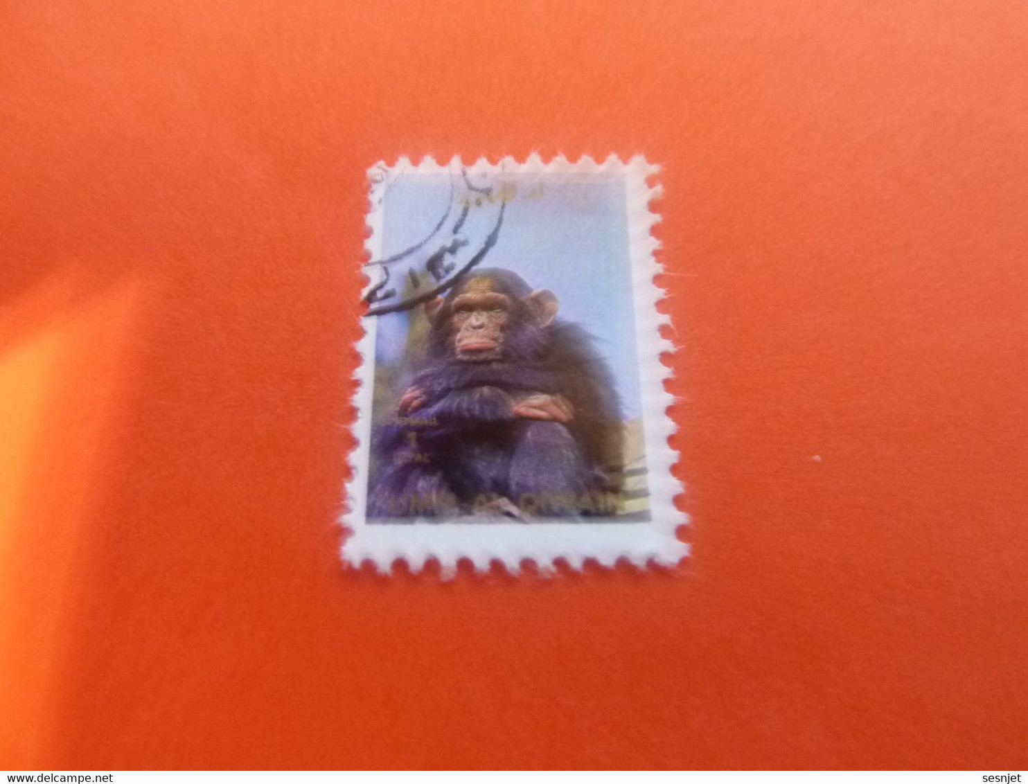 Umm Al Qiwain - Animaux En Voie De Disparition - Chimpanzé - Val 1 Riyal - Air Mail - Oblitéré - Année 1972 - - Chimpancés