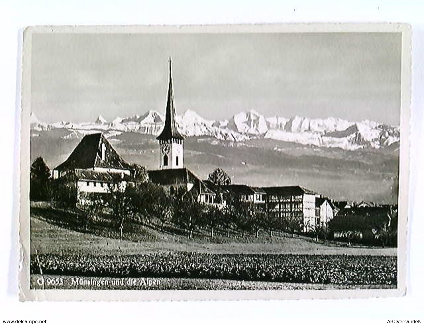 Münsingen Und Die Alpen, AK, Ungelaufen, Ca. 1960 - Münsingen