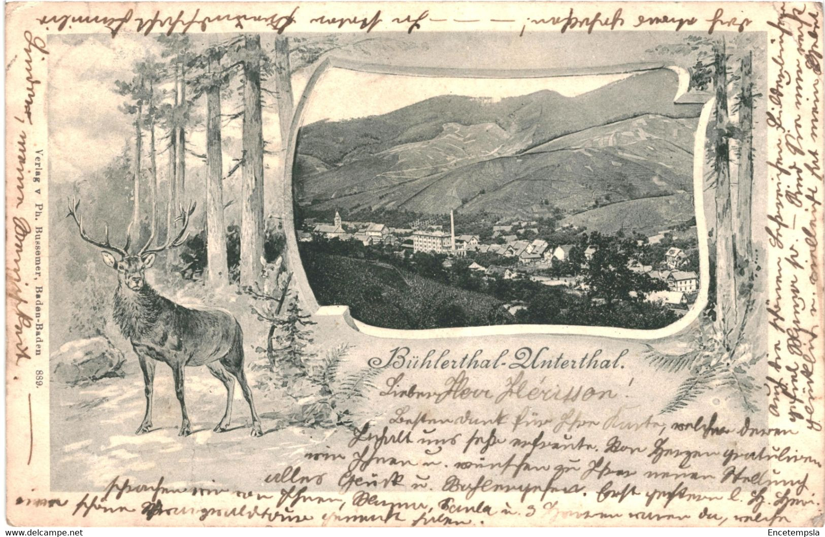 CPA-carte Postale Germany- Bühlerthal Unterthal  1903 VM43689ok+ - Buehlertal