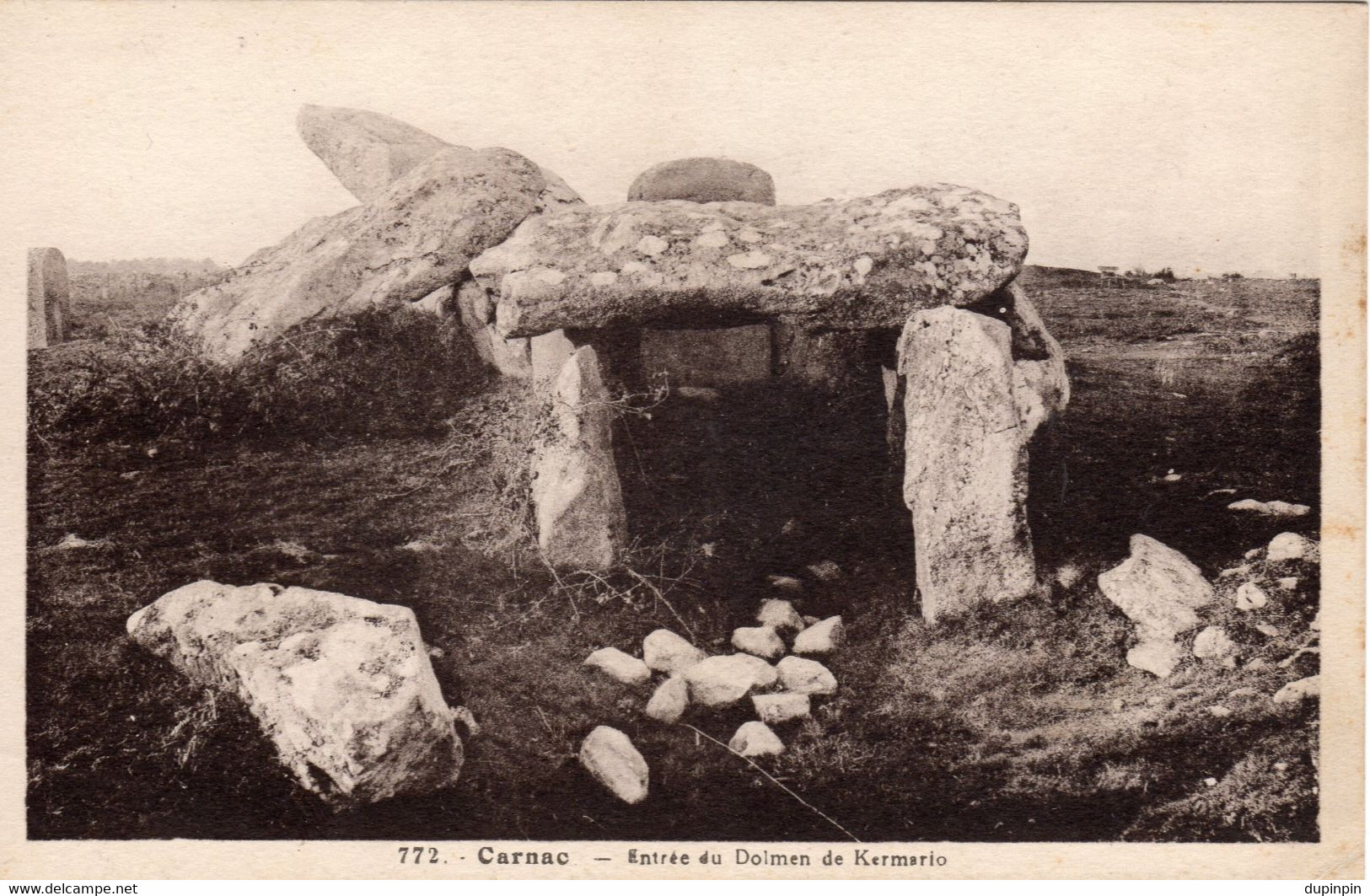 56 - Carnac - Entrée Du Dolmen De Kermario - Dolmen & Menhirs