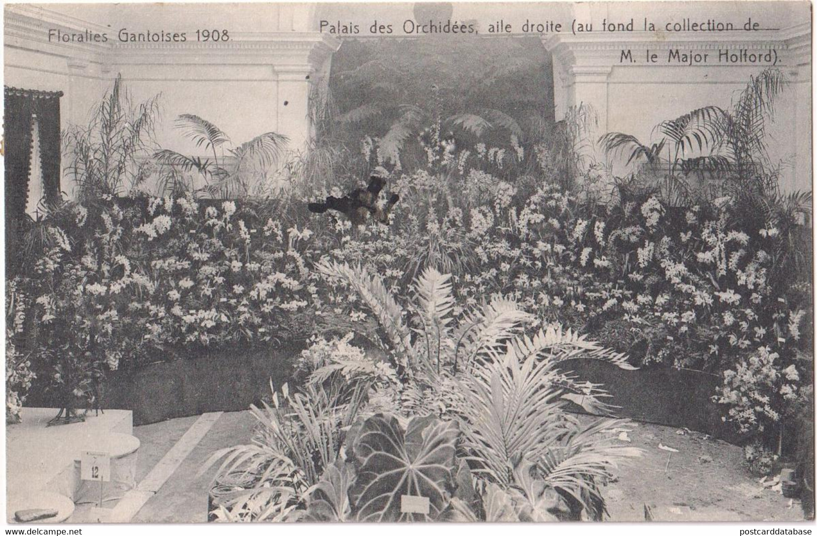 Floralies Gantoises 1908 - Palais Des Orchidées - Gent