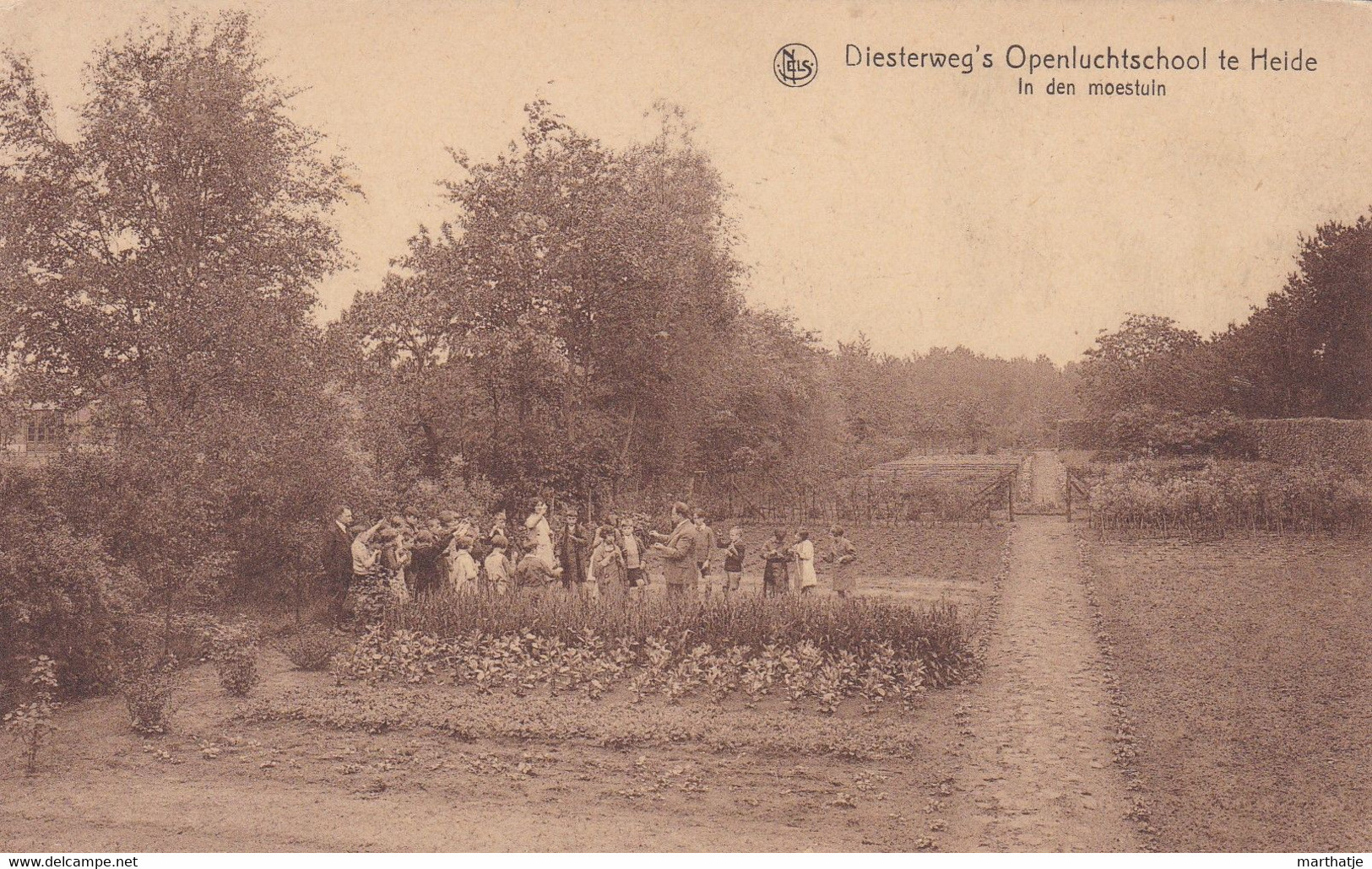 Diesterweg's Openluchtschool Te Heide - In Den Moestuin - Kalmthout