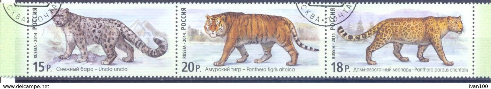 2014. Russia,  Fauna Of Russia, Wild Cats, 3v, Used/CTO - Usados