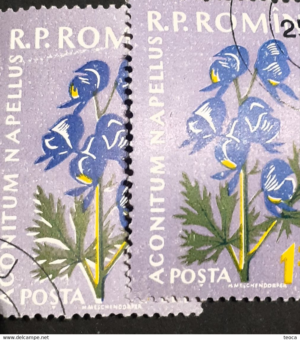 Stamps Errors Romania 1959  Mi 1819 Printed Double White Leaf Flower Used - Abarten Und Kuriositäten