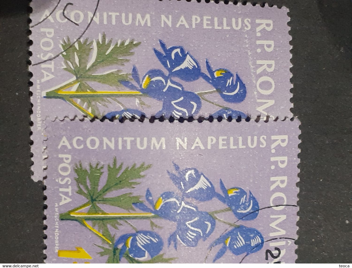 Stamps Errors Romania 1959  Mi 1819 Printed Double White Leaf Flower Used - Abarten Und Kuriositäten