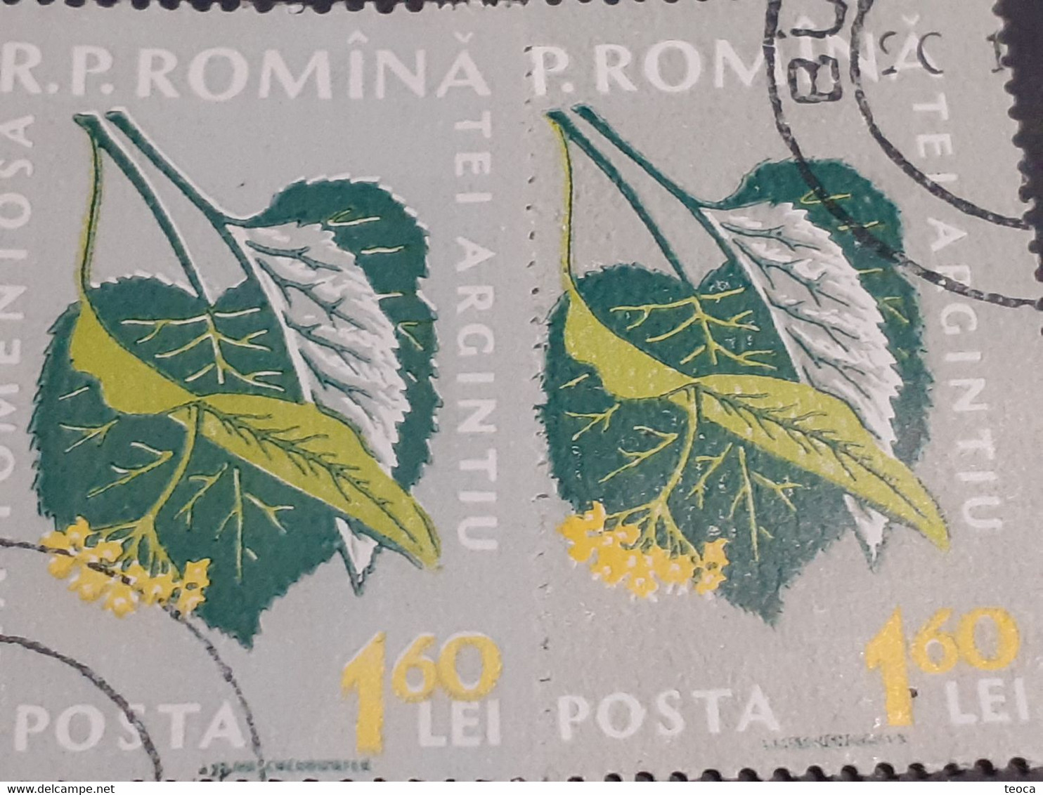 Errors Romania 1959  Mi 1821 Printed Double White Errors Flower Used - Plaatfouten En Curiosa