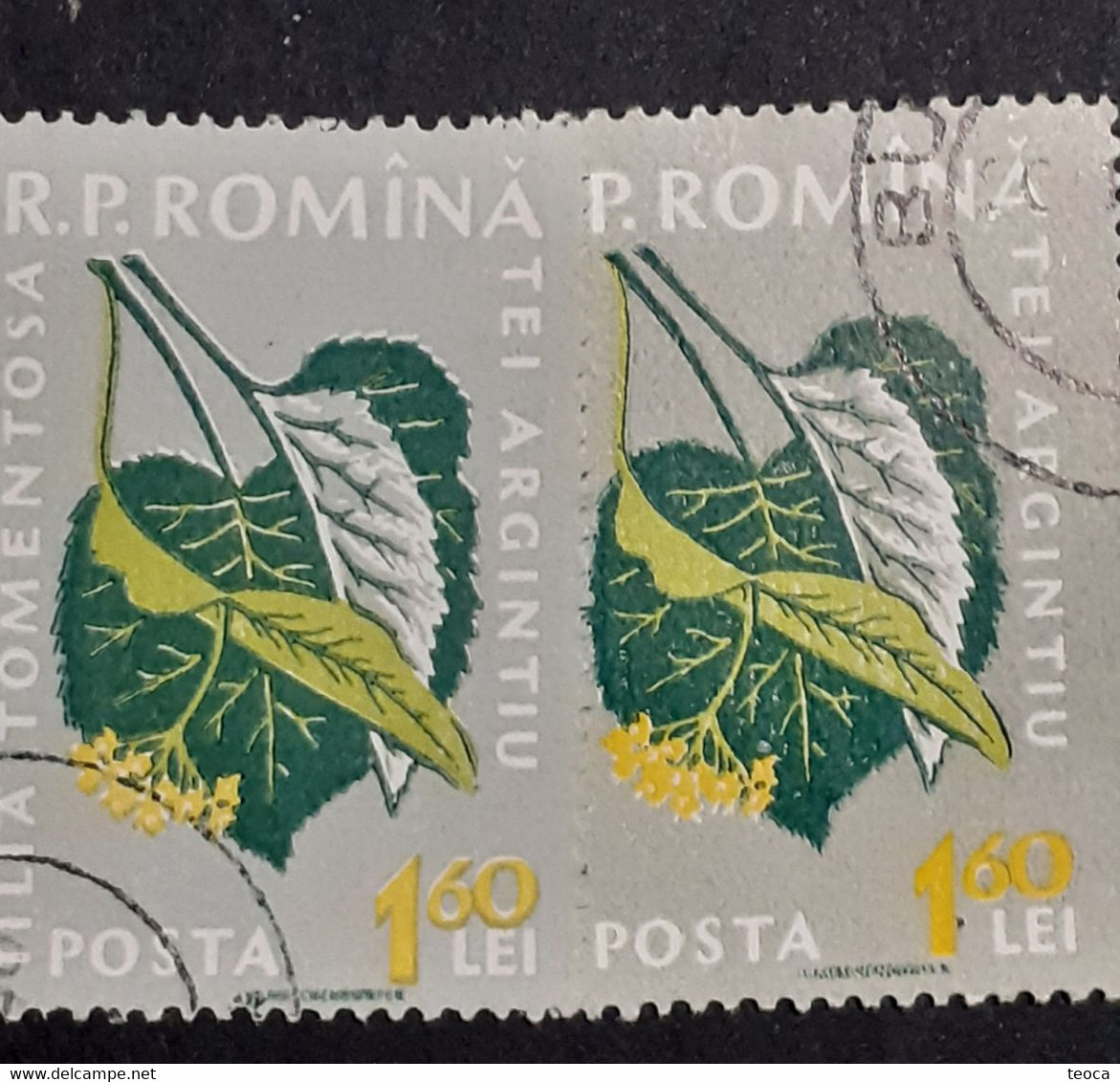 Errors Romania 1959  Mi 1821 Printed Double White Errors Flower Used - Variétés Et Curiosités