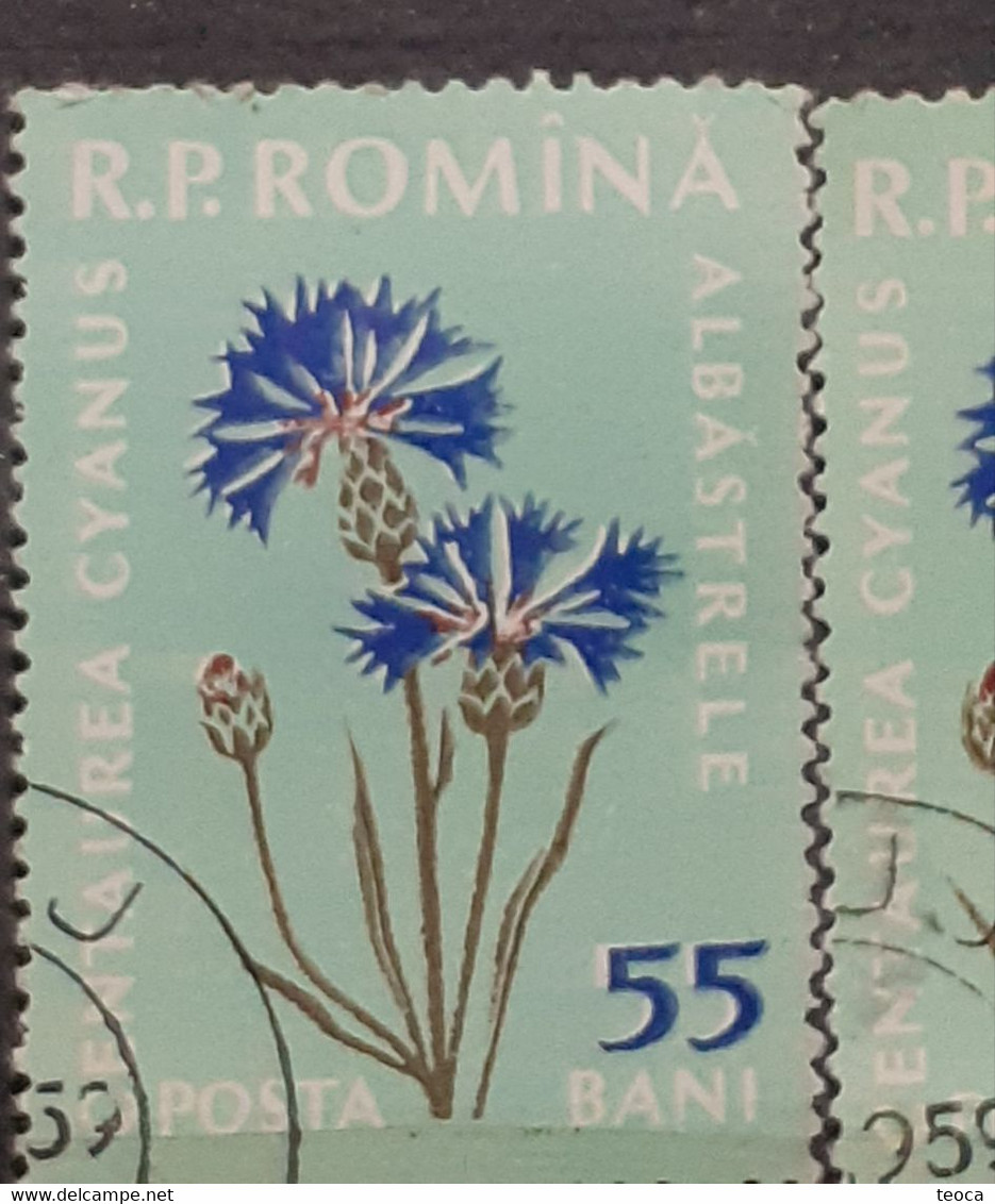 Errors Romania 1959  Mi 1817 Printed Double White Leaf Flower Used - Abarten Und Kuriositäten