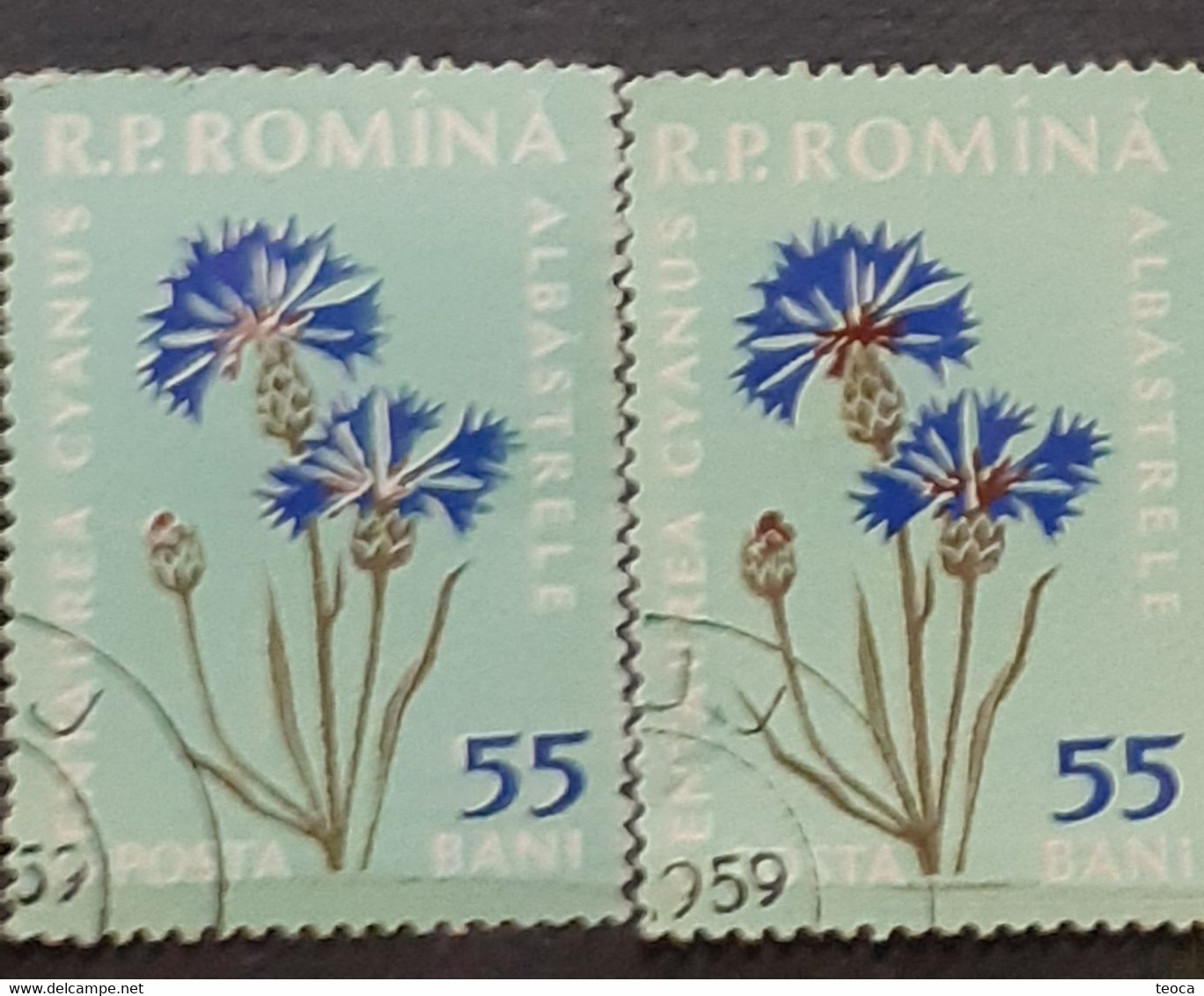 Errors Romania 1959  Mi 1817 printed double white leaf flower used