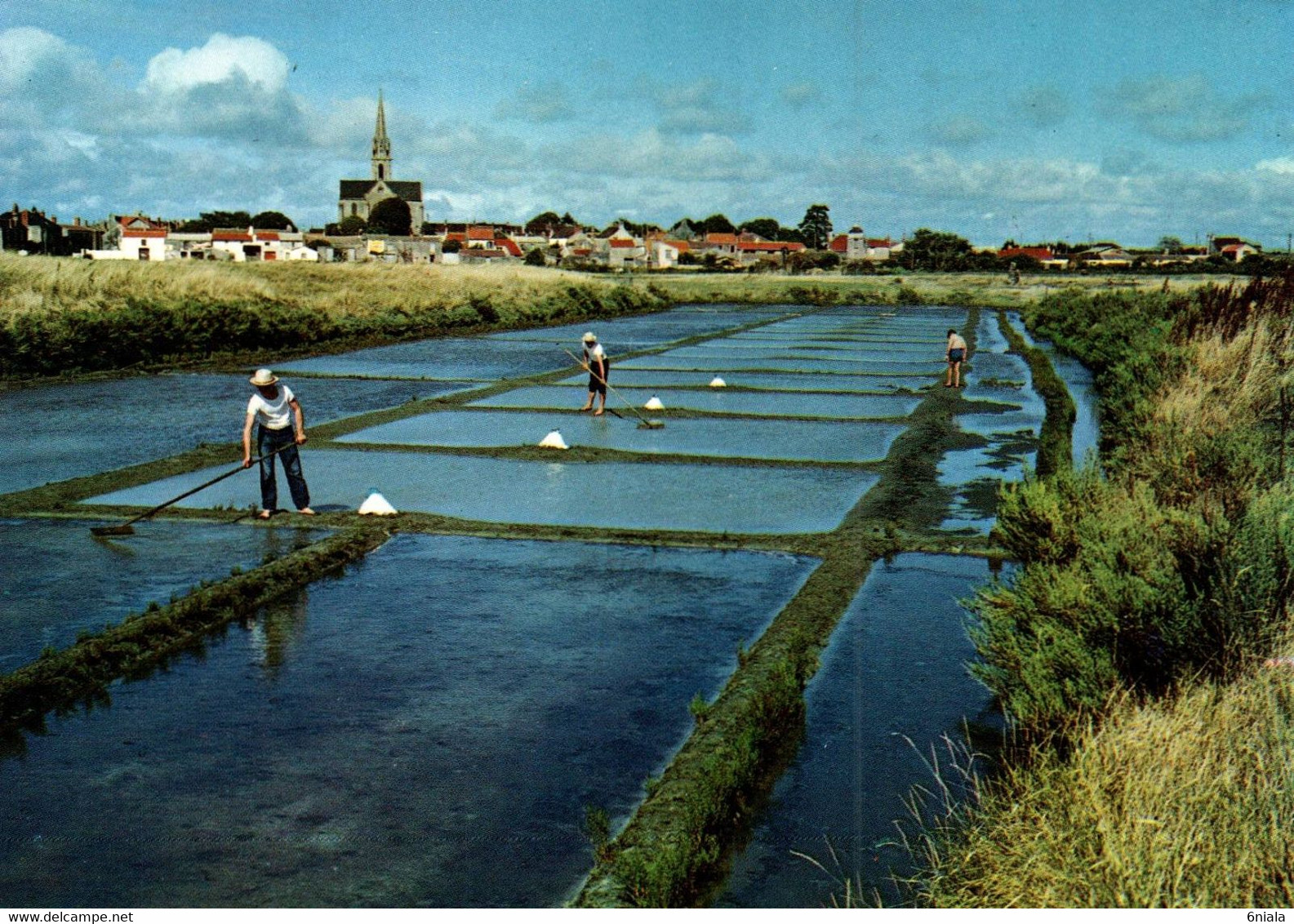 8493   Salins  BOURGNEUF En RETZ      (MARAIS SALANTS °    (scan Recto-verso) 44 Loire Atlantique - Bourgneuf-en-Retz