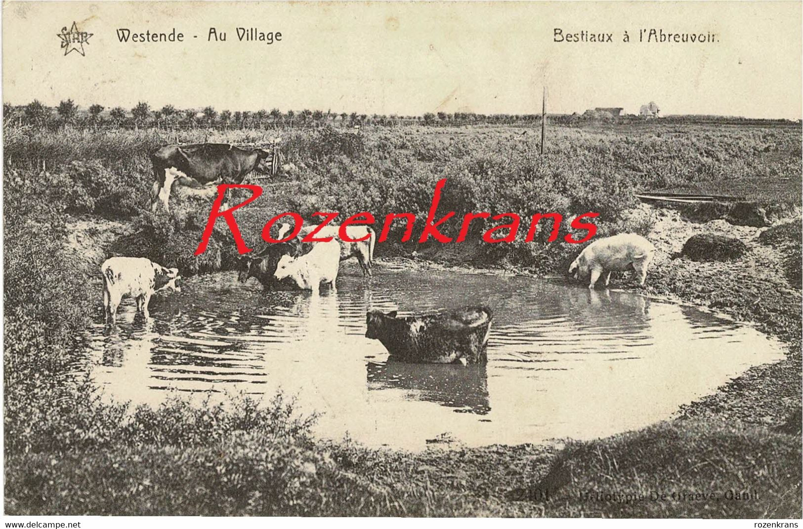 Drinkplaats Voor Het Vee Bestiaux à L'Abreuvoir - Westende Au Village - Westende