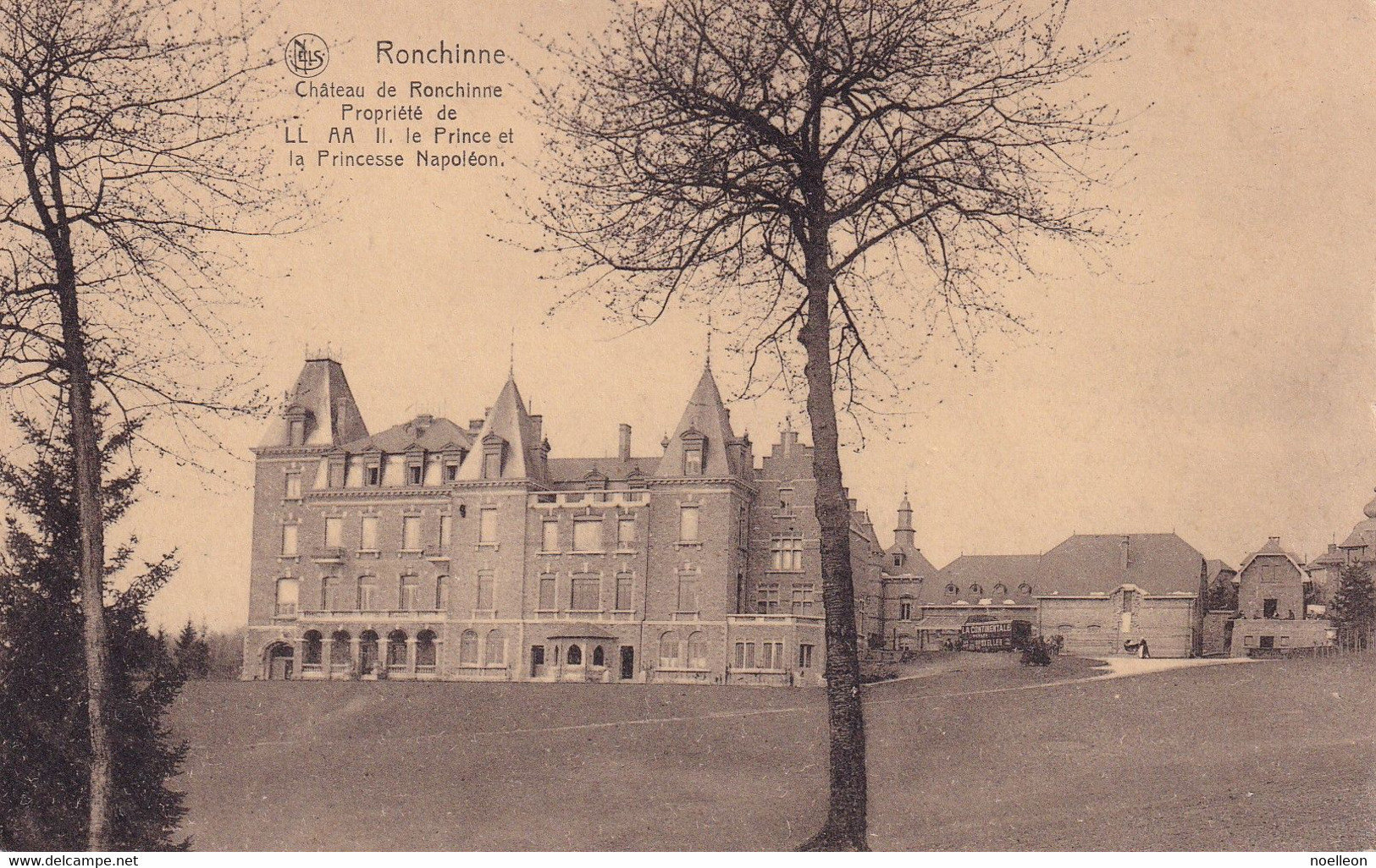 Ronchinne - Le Château - Assesse