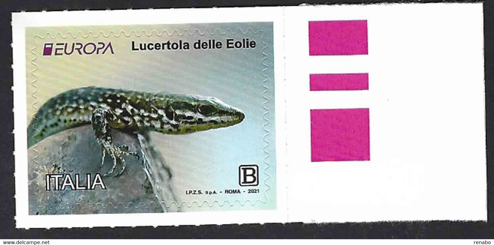 Italia, Italy, Italien, Italie 2021; Lucertola Delle Eolie, Lizard Of The Aeolian Islands. - Andere & Zonder Classificatie