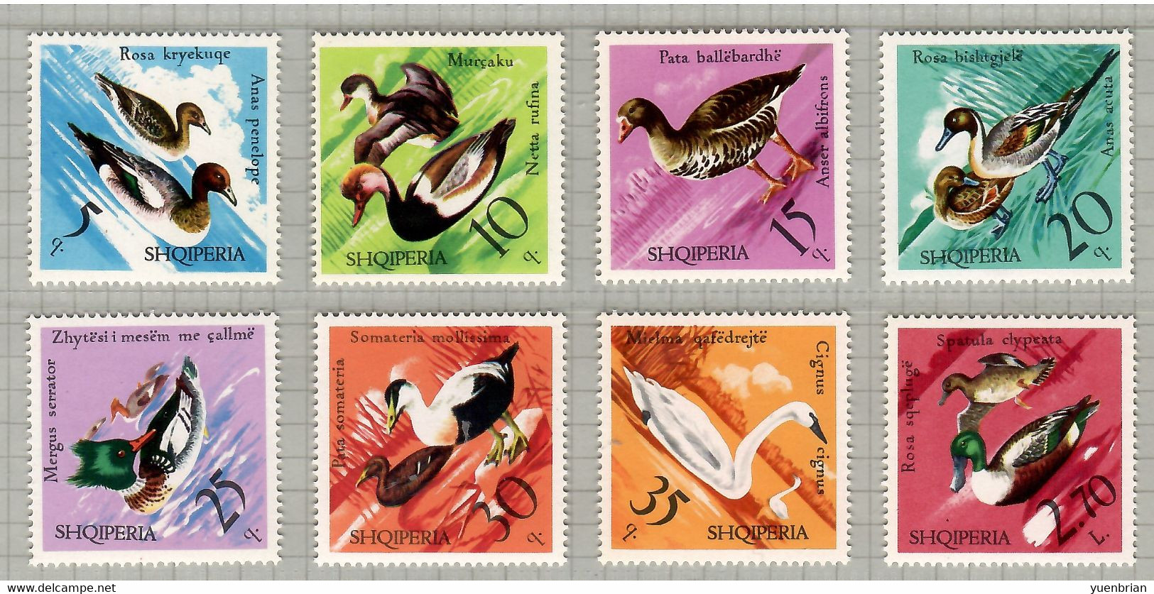 Albania 1975, Bird, Birds, Swan, Set Of 8v, MNH** - Cygnes