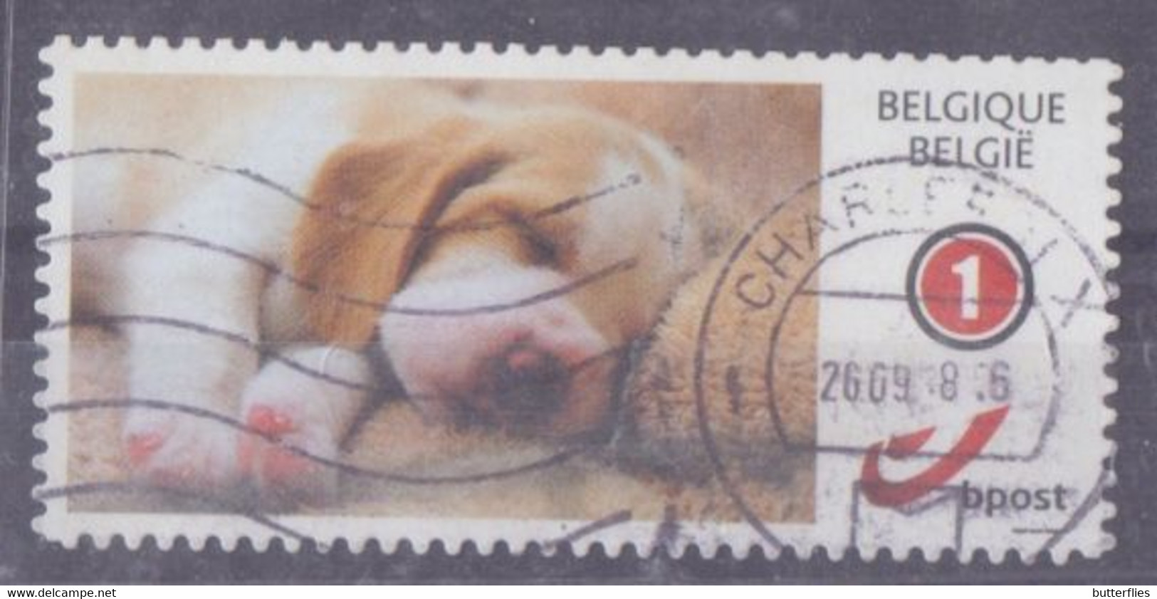 België - Duostamp  - Hond  - Zonder Papierresten - Used