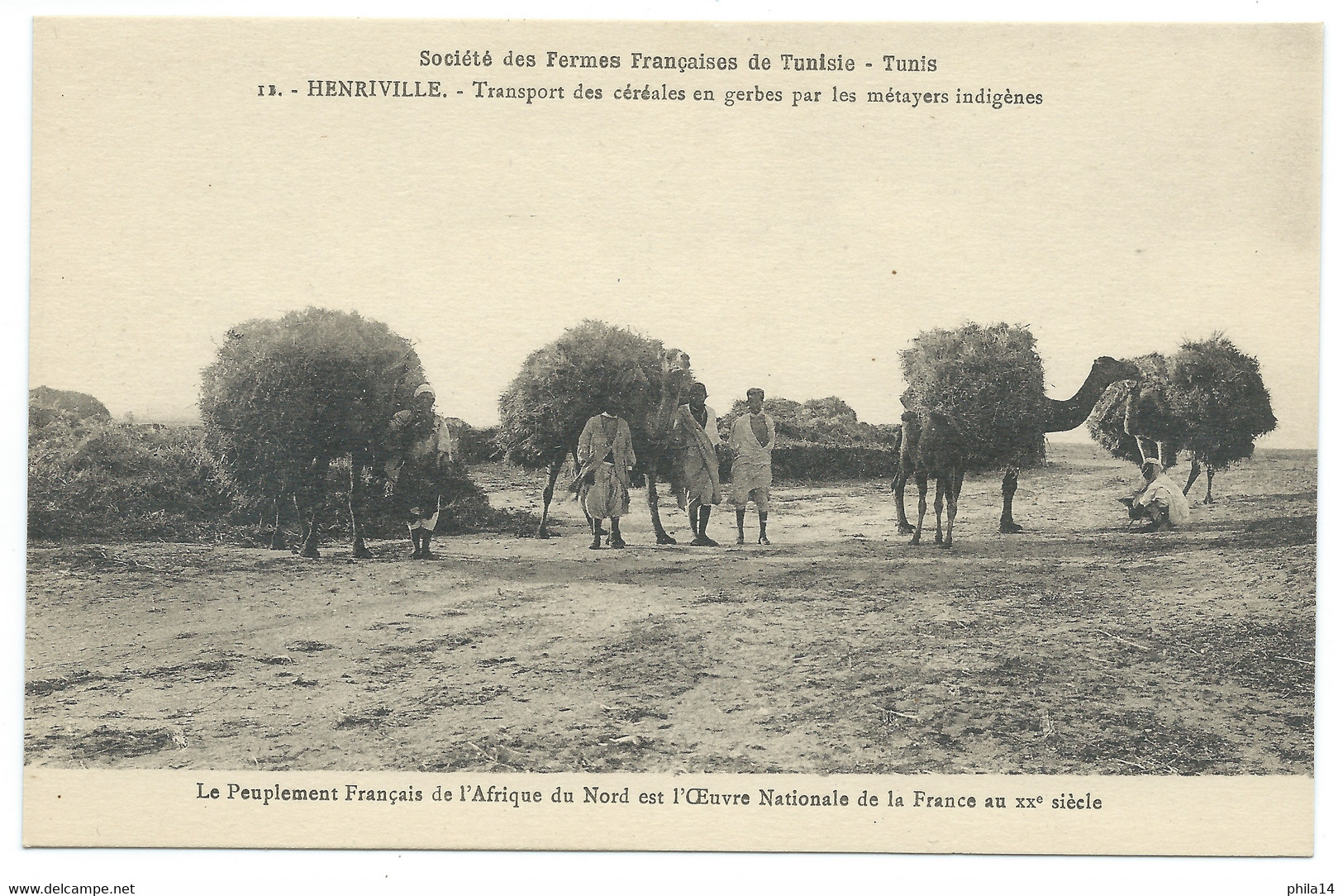 CPA SOCIETE DES FERMES FRANCAISES DE TUNISIE / HENRIVILLE / TRANSPORT DES CEREALES EN GERBES PAR LES METAYERS INDIGENES - Tunisia