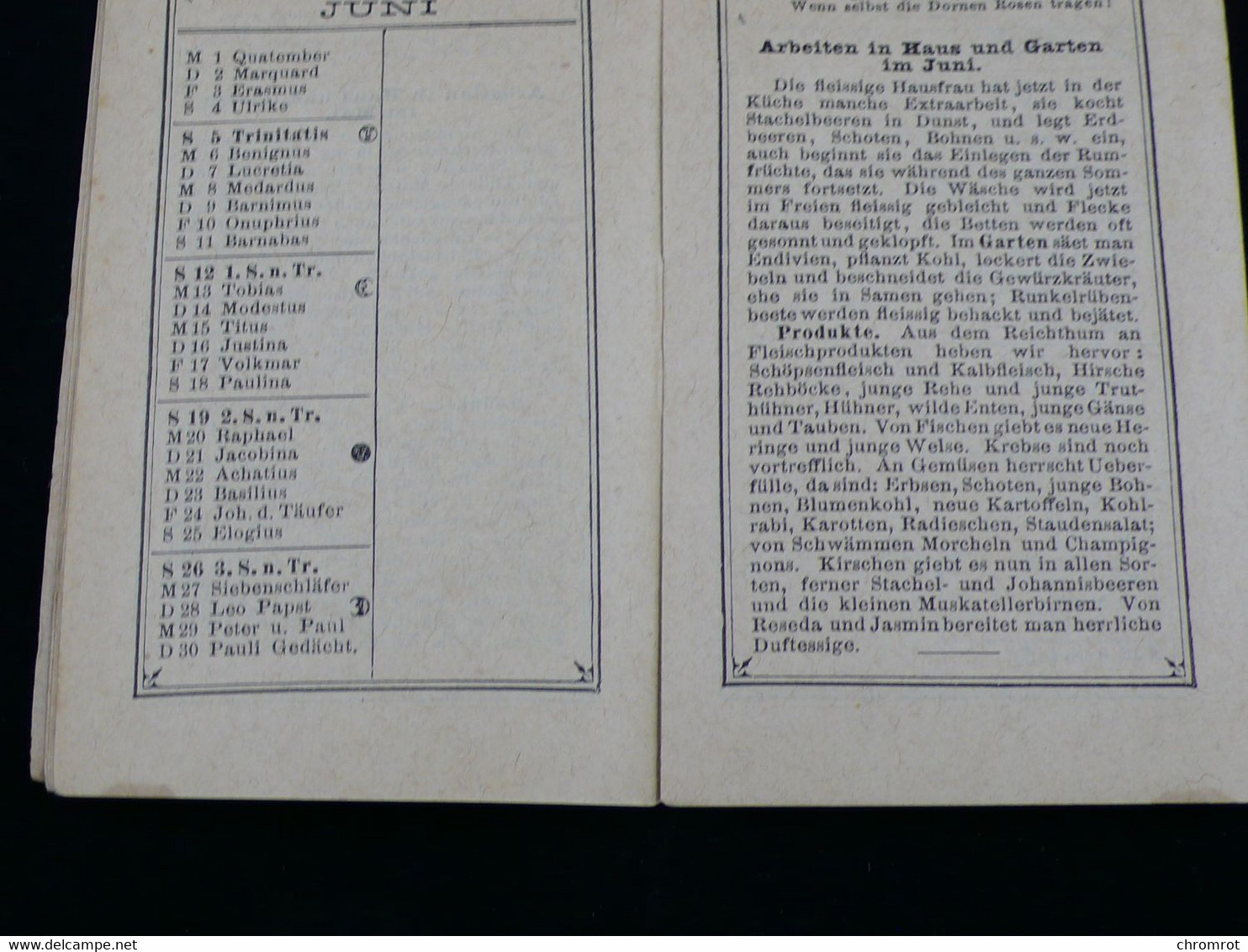 1887 CALENDRIER KALENDER 12 Monate Kalender Damen Almanach Tips Haus Und Garten Allemand Leipzig 10 X 6,5 Cm - Formato Piccolo : ...-1900