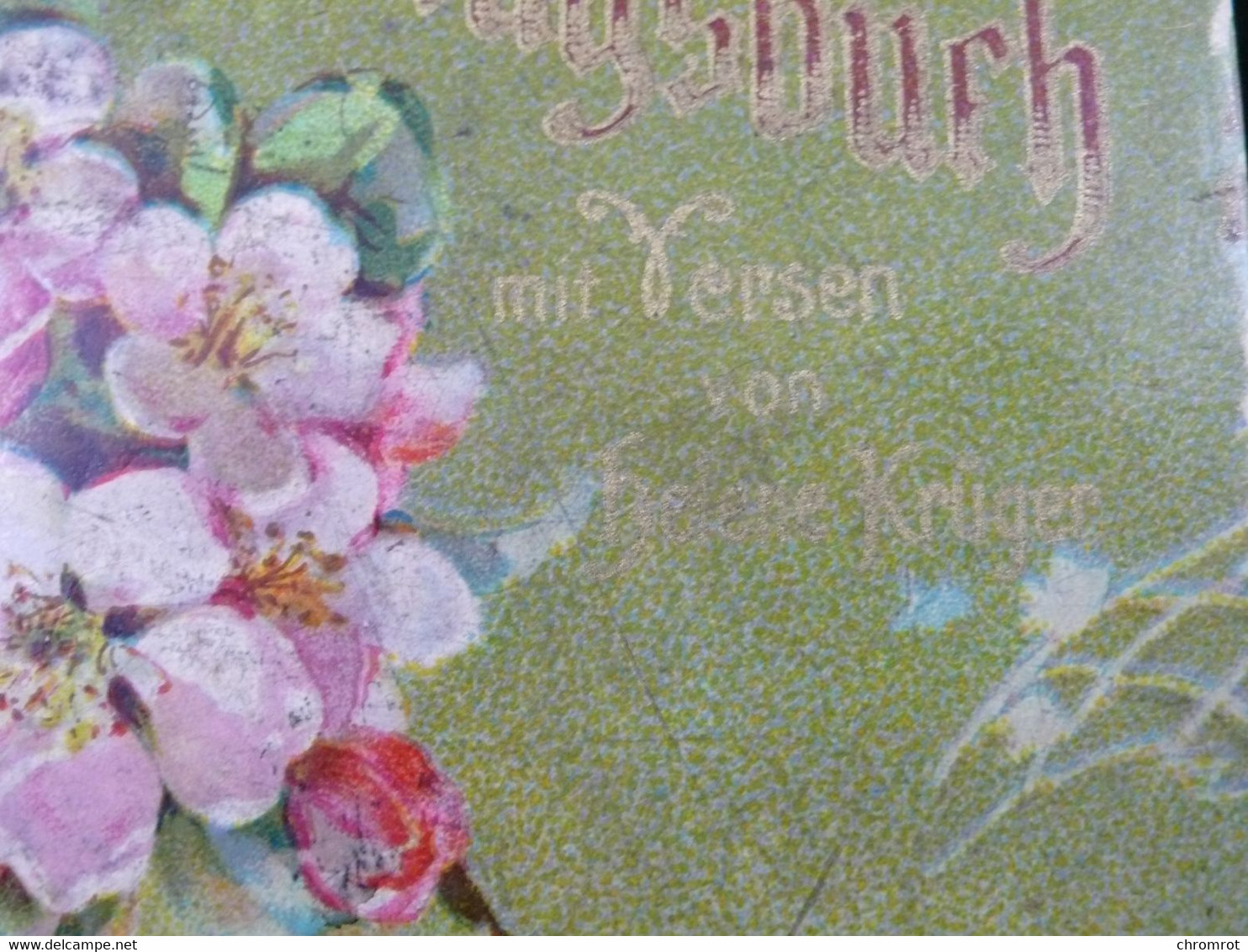 1899 CALENDRIER KALENDER 12 Monate Kalender Gedichte GEBURTSTAGBUCH Versen / Helene - Krüger Breslau Allemand 11 X 9 Cm - Small : ...-1900