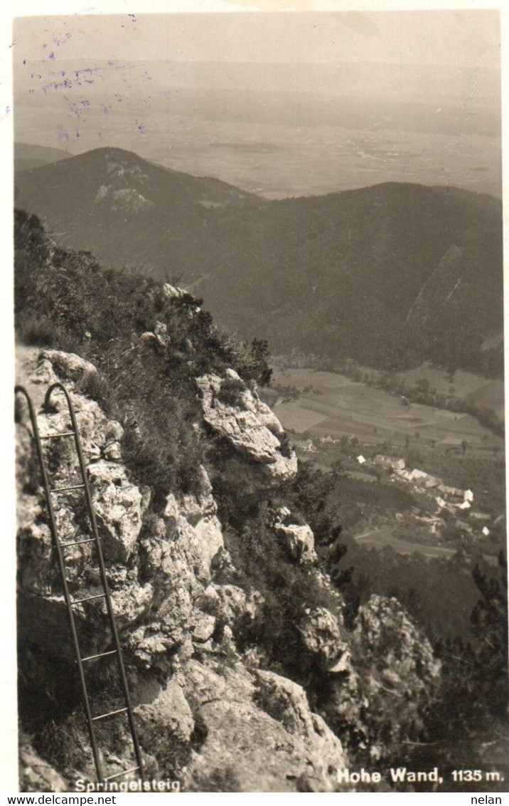 SPRINGELSTEIG - HOHE WAND - REAL PHOTO - F.P - STORIA POSTALE - Wiener Neustadt