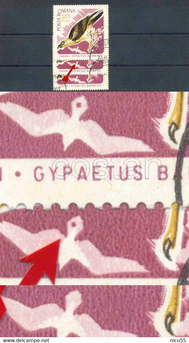 1967 Bearded Vulture/Gypaetus Barbatus,lammergeier,Bird Of Prey,Romania,2574,variety ERROR,VFU - Errors, Freaks & Oddities (EFO)