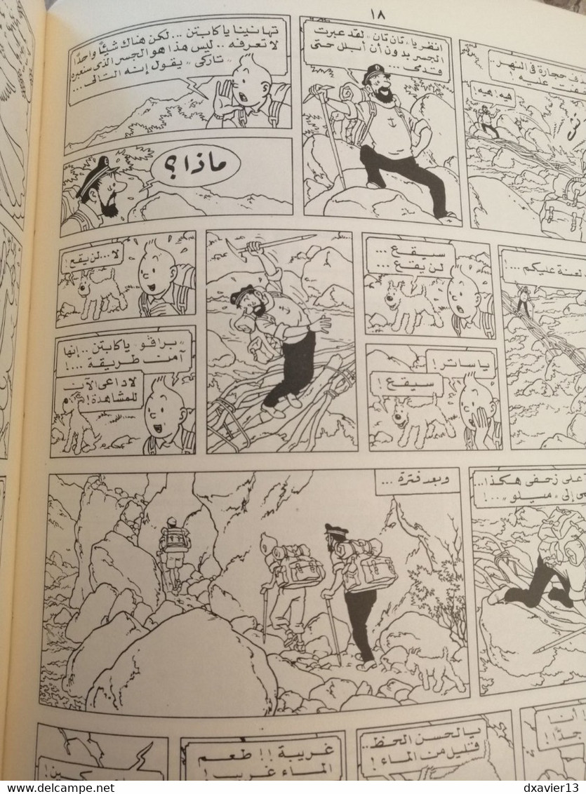 Bande Dessinée - Les Aventures De Tintin (En Arabe) - Tintin Au Tibet (1979) - Stripverhalen & Mangas (andere Talen)