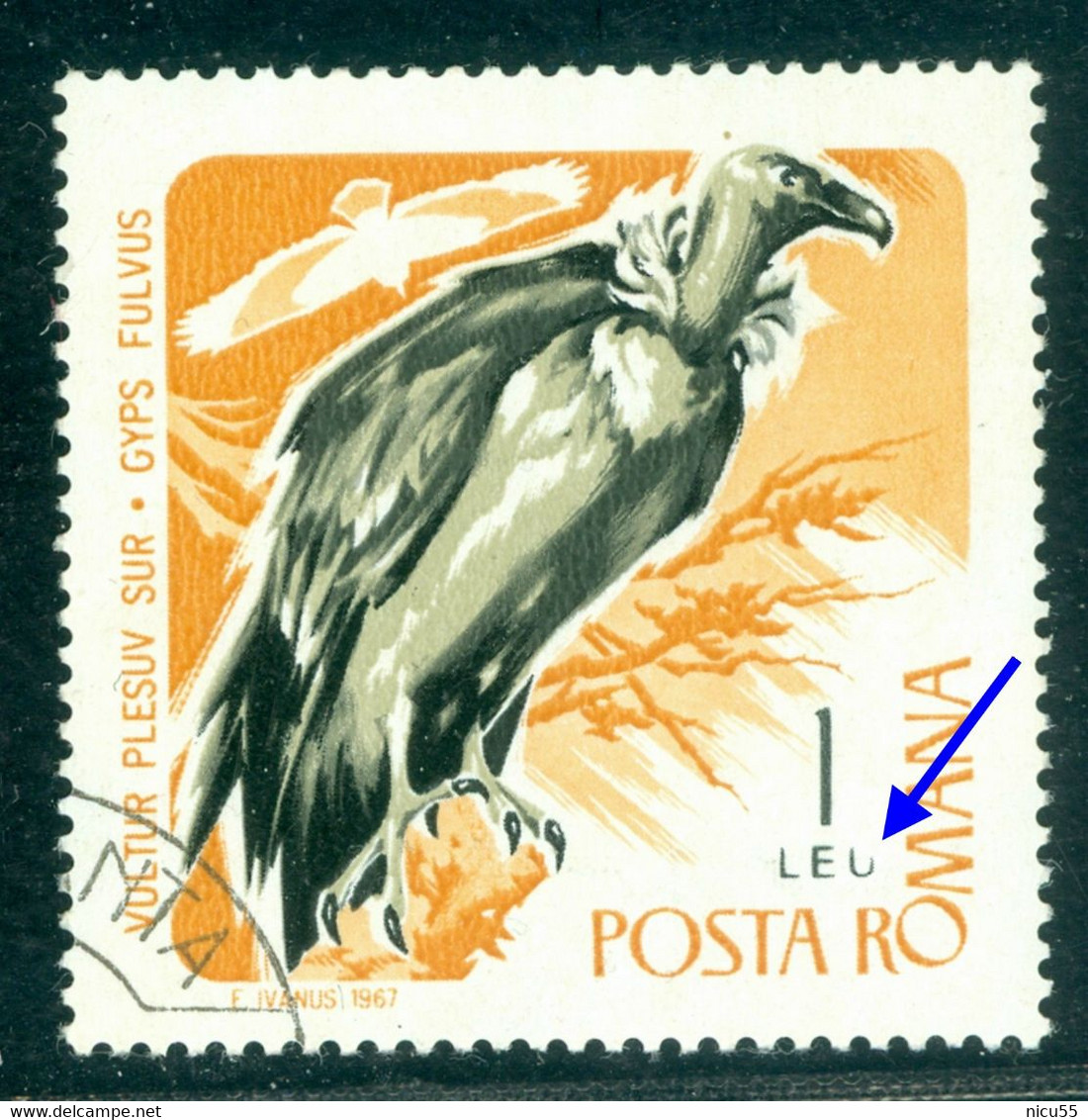 1967 Griffon Vulture/Gyps Fulvus,Eurasian Griffon,Birds Of Prey,Romania,2573,variety ERROR,VFU - Abarten Und Kuriositäten