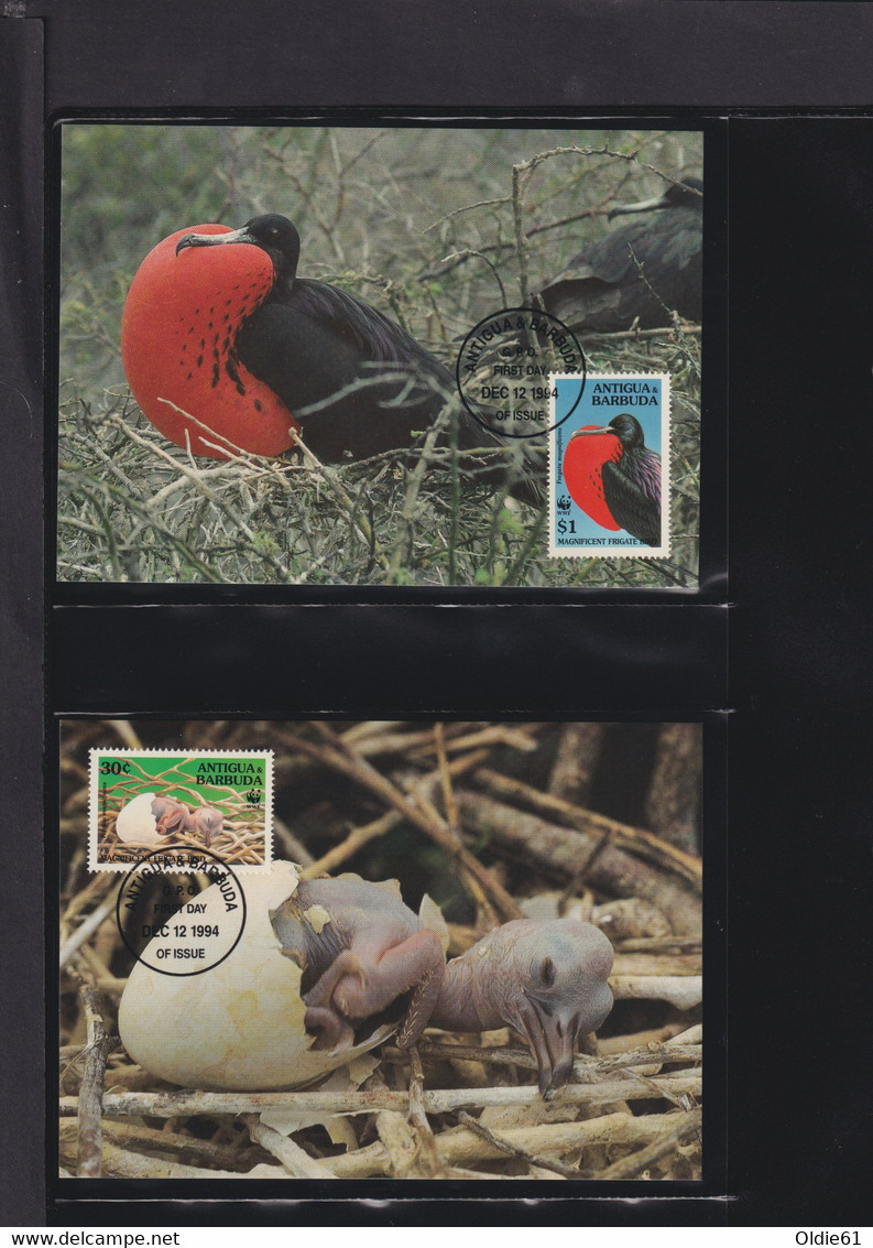 1994  Antigua6Barbuda  WWF  "Der Prachtfregattenvogel"  Komplettes Kapitel - Collections, Lots & Series