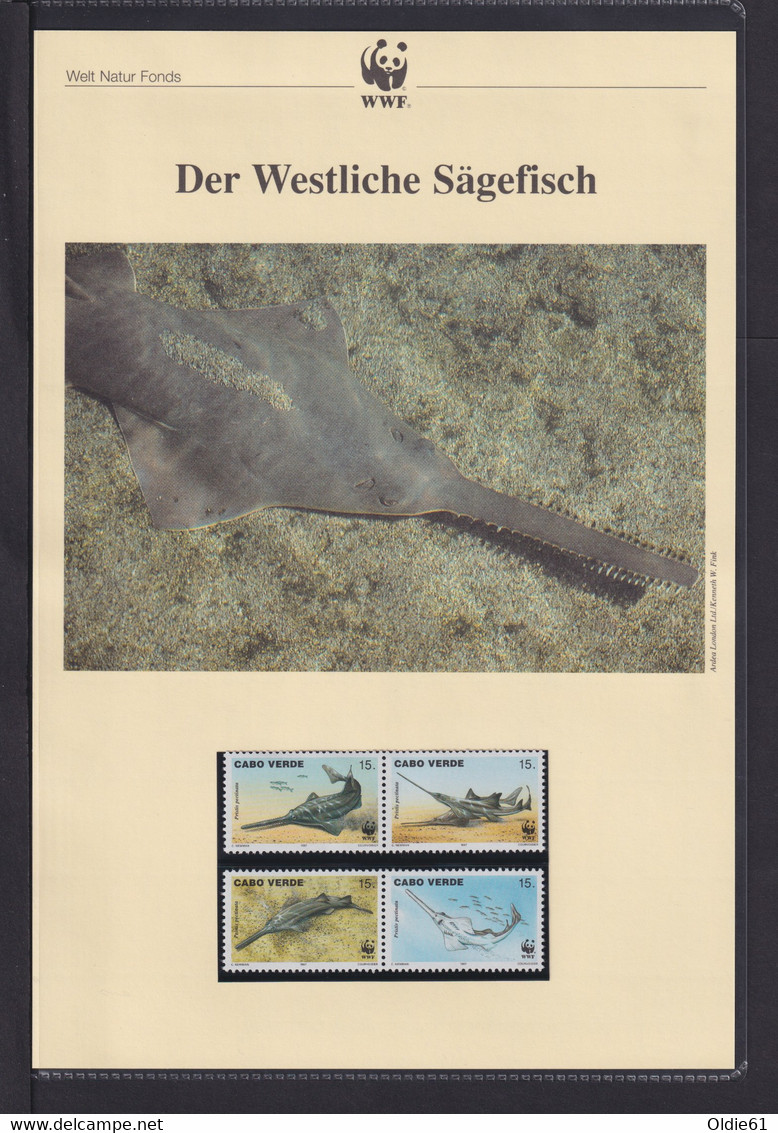 1997  Kap Verde WWF  "Der Westliche Sägefisch"  Komplettes Kapitel - Collezioni & Lotti