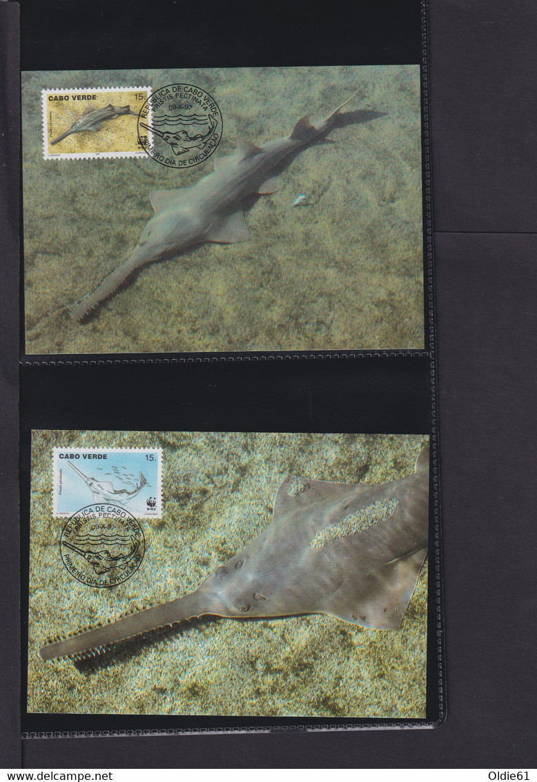 1997  Kap Verde WWF  "Der Westliche Sägefisch"  Komplettes Kapitel - Collezioni & Lotti