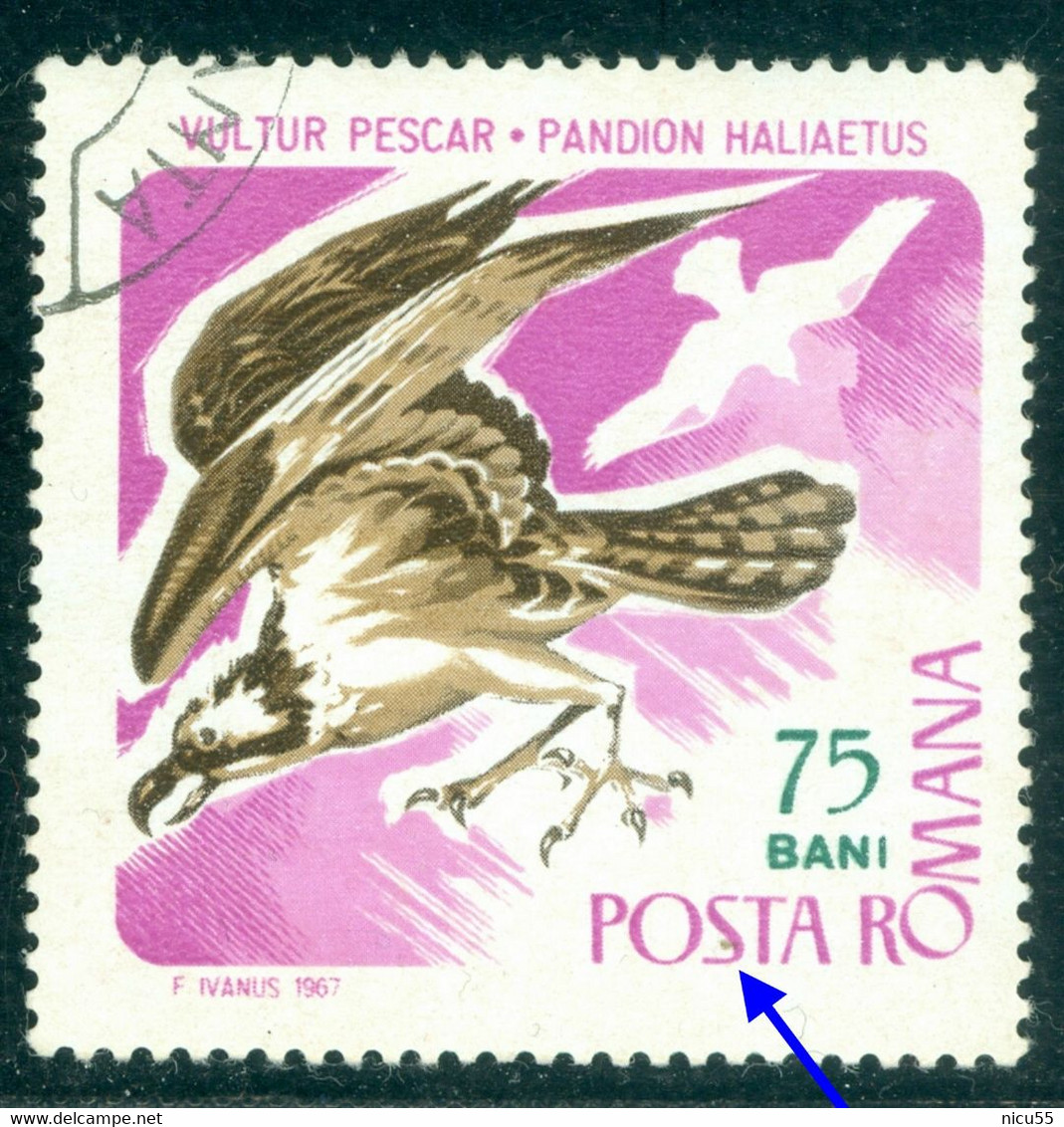 1967 Western Osprey/Pandion Haliaetus,fish Hawk,sea Hawk,Birds Of Prey,Romania,2572,variety ERROR,VFU - Abarten Und Kuriositäten