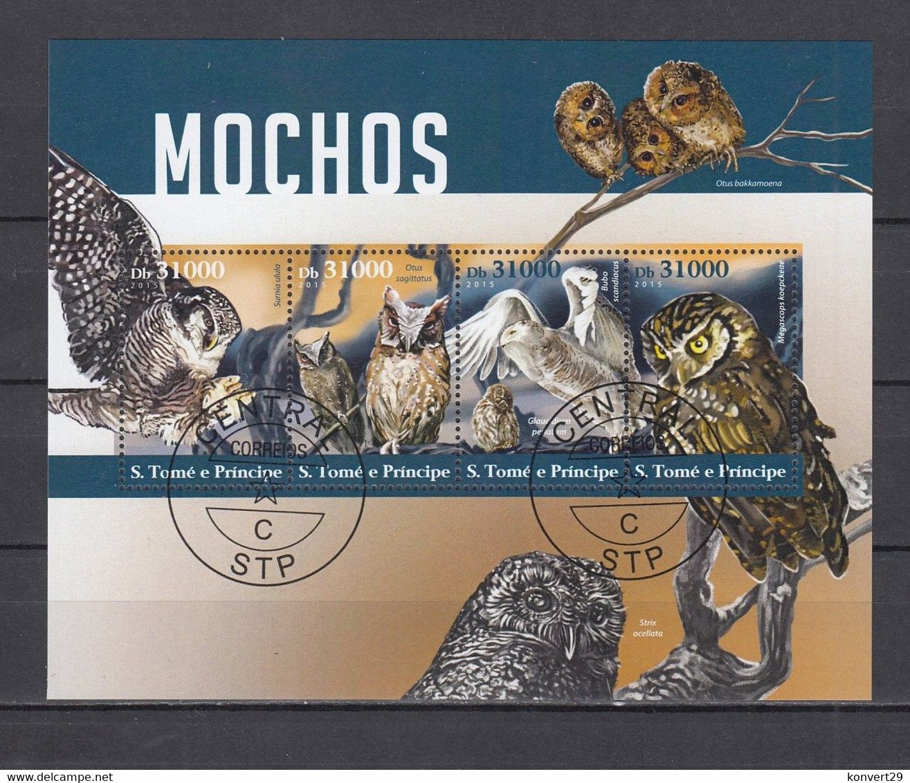 Sao Tome And Principe 2015 Owls. Used. CTO - Sao Tome Et Principe