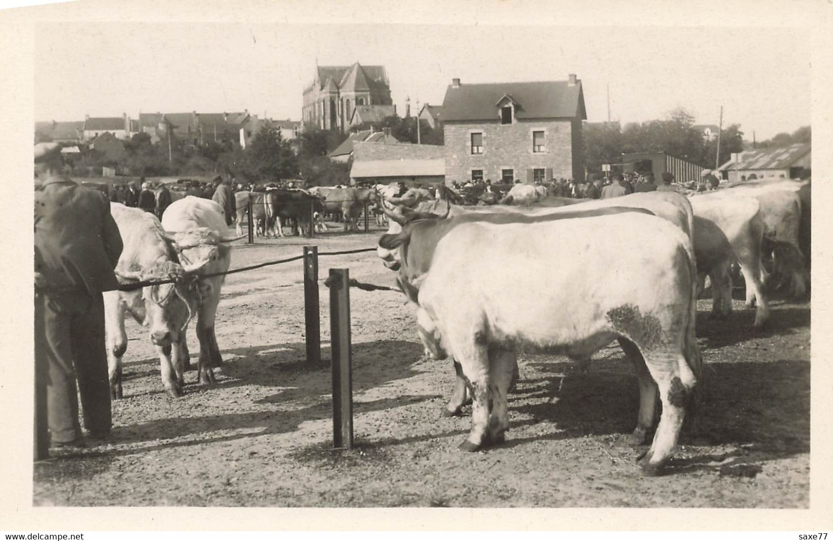 HERBIGNAC -   Champ De Foire - Marché Aux Boeufs - Herbignac