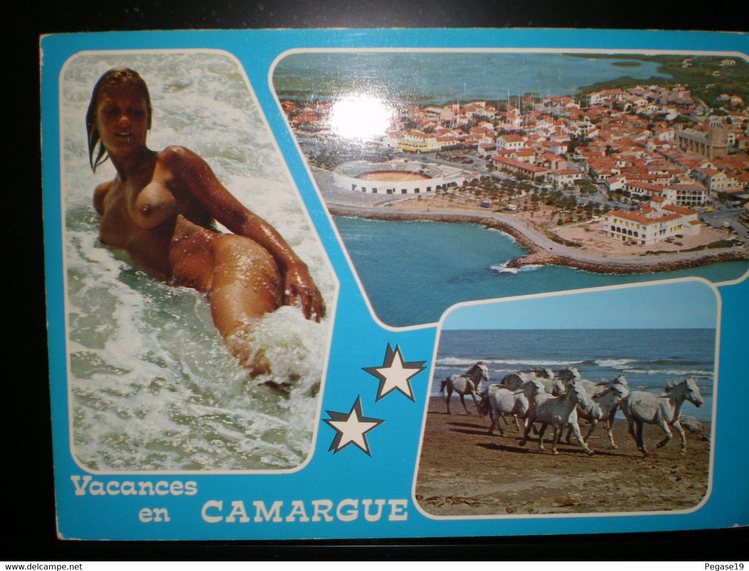 CAMARGUE - Souvenir De...