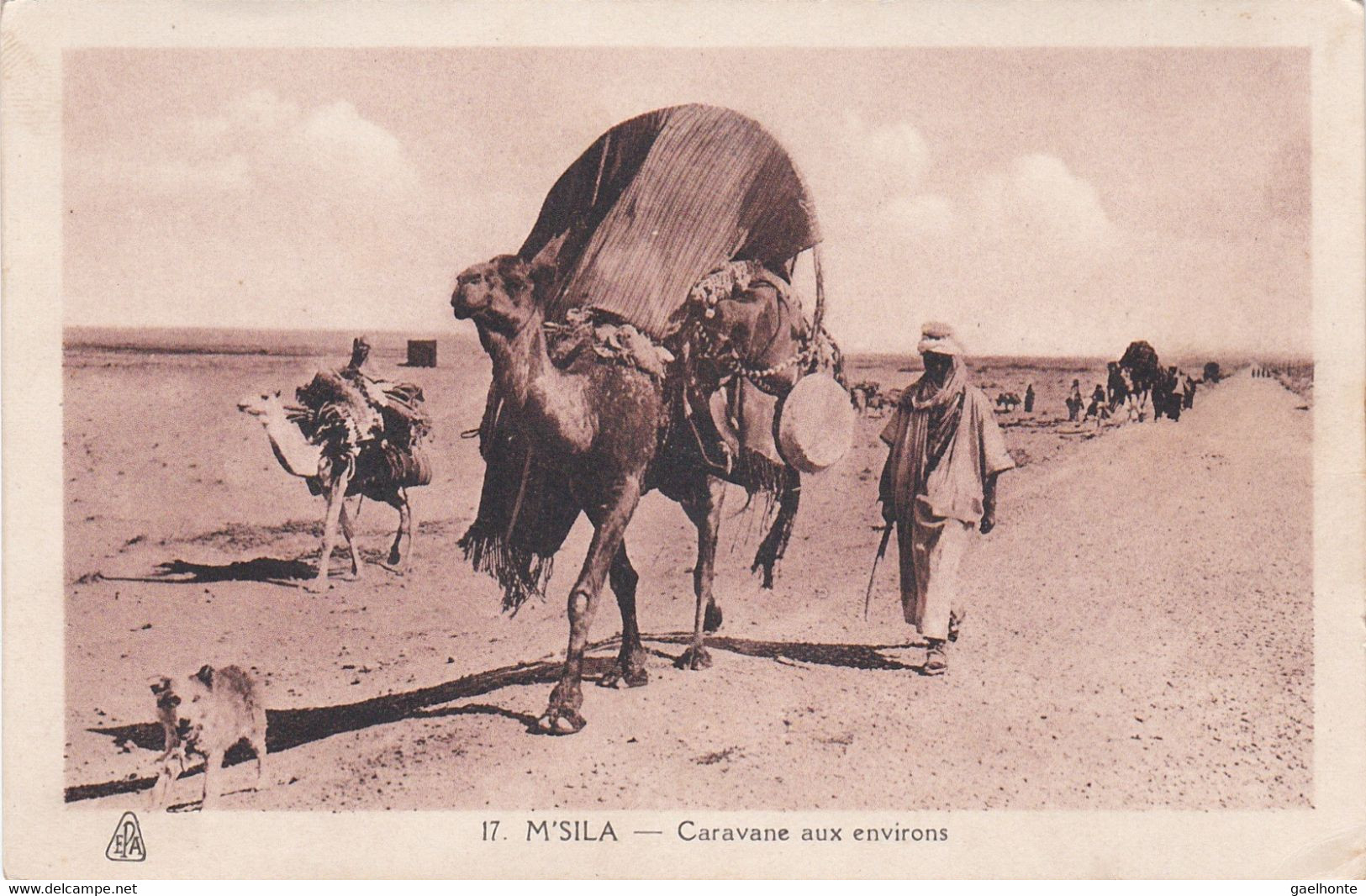 AL277 M'SILA - CARAVANE AUX ENVIRONS - DEPLACEMENT DE CHAMELIERS SUR LE BORD DE ROUTE - M'Sila