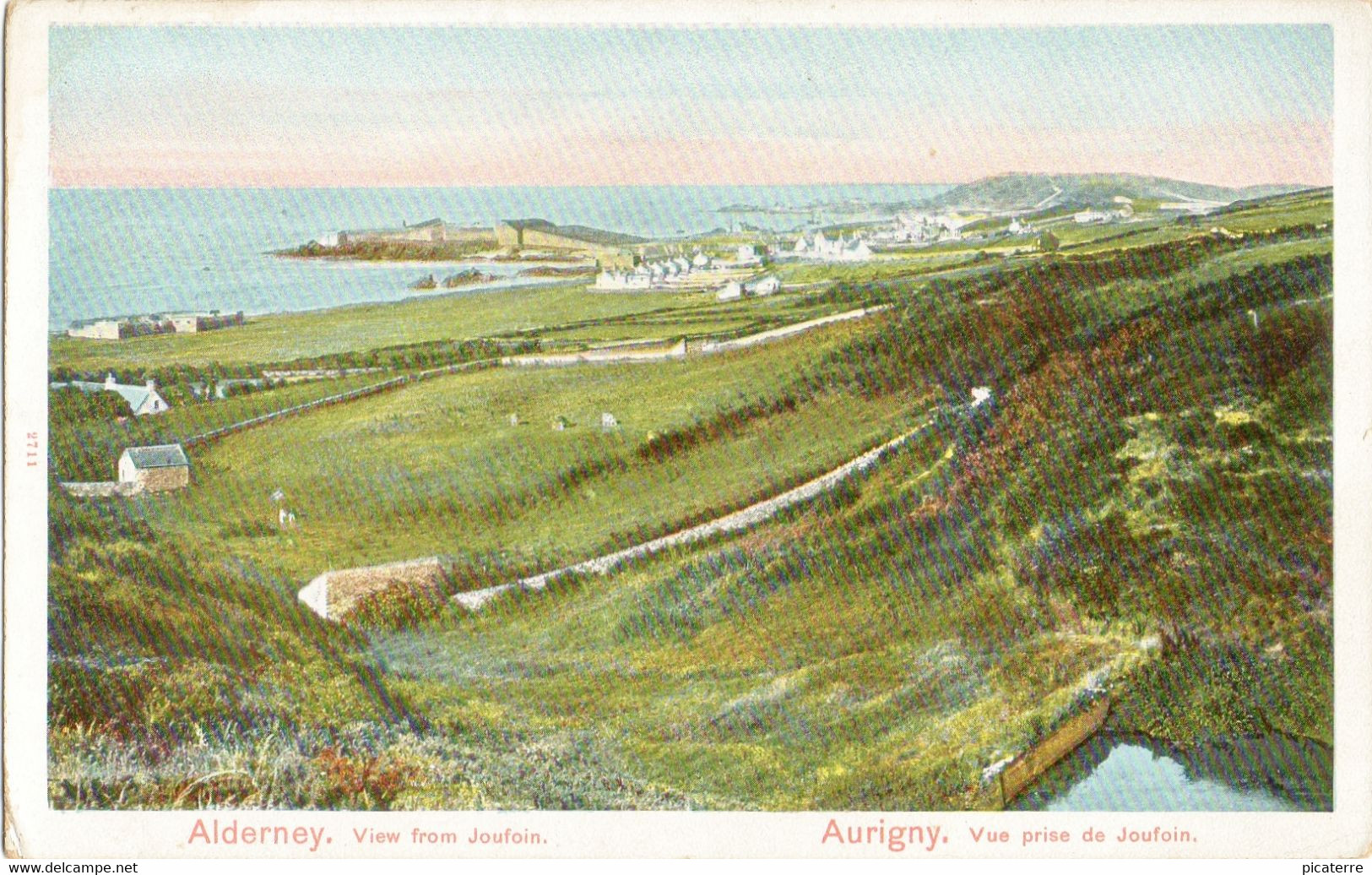 Alderney-View From Joufoin:-Aurigny-Vue Prise De Joufoin (Peacock Ser. Autochrom) - Alderney