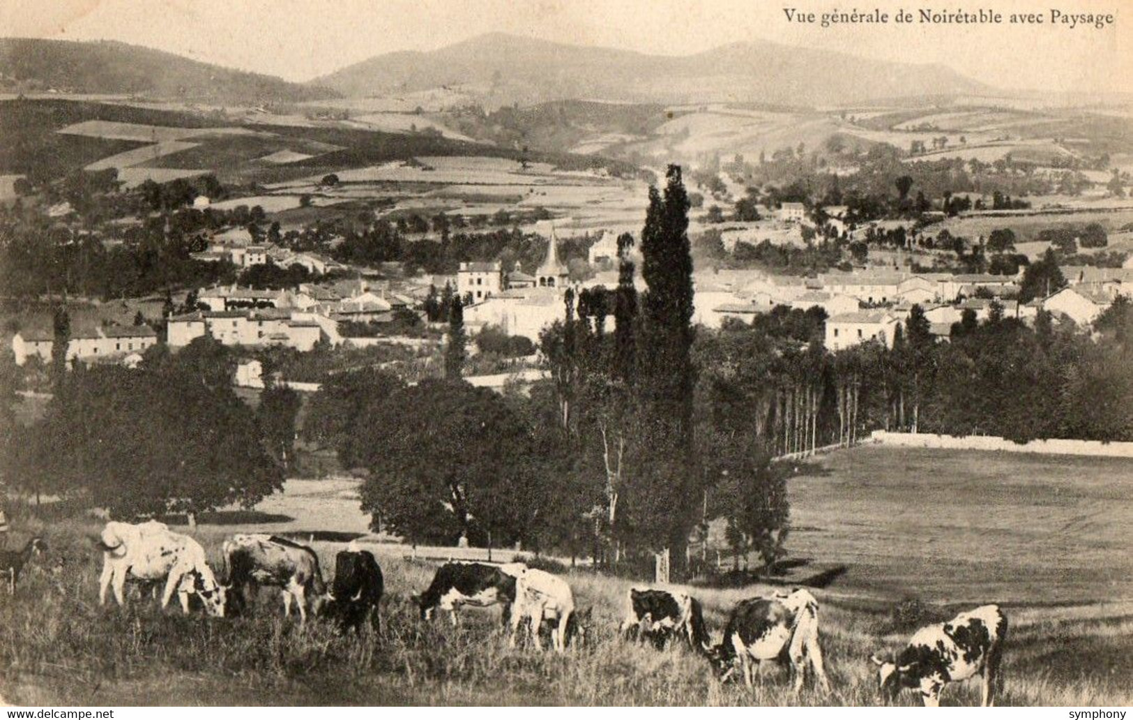 42. CPA - NOIRETABLE -  Vue Générale Avec Paysage - Troupeau De Vaches Au Paturage - 1905 - Scan Du Verso - - Noiretable