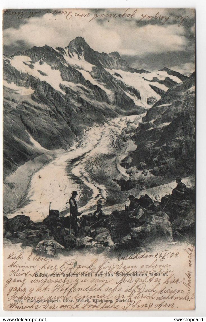 BERGSTEIGER AK Blick Vom Untern Kalli Auf Das Schreckhorn Gel. 1903 V. Zürich N. Steg - Gsteig Bei Gstaad