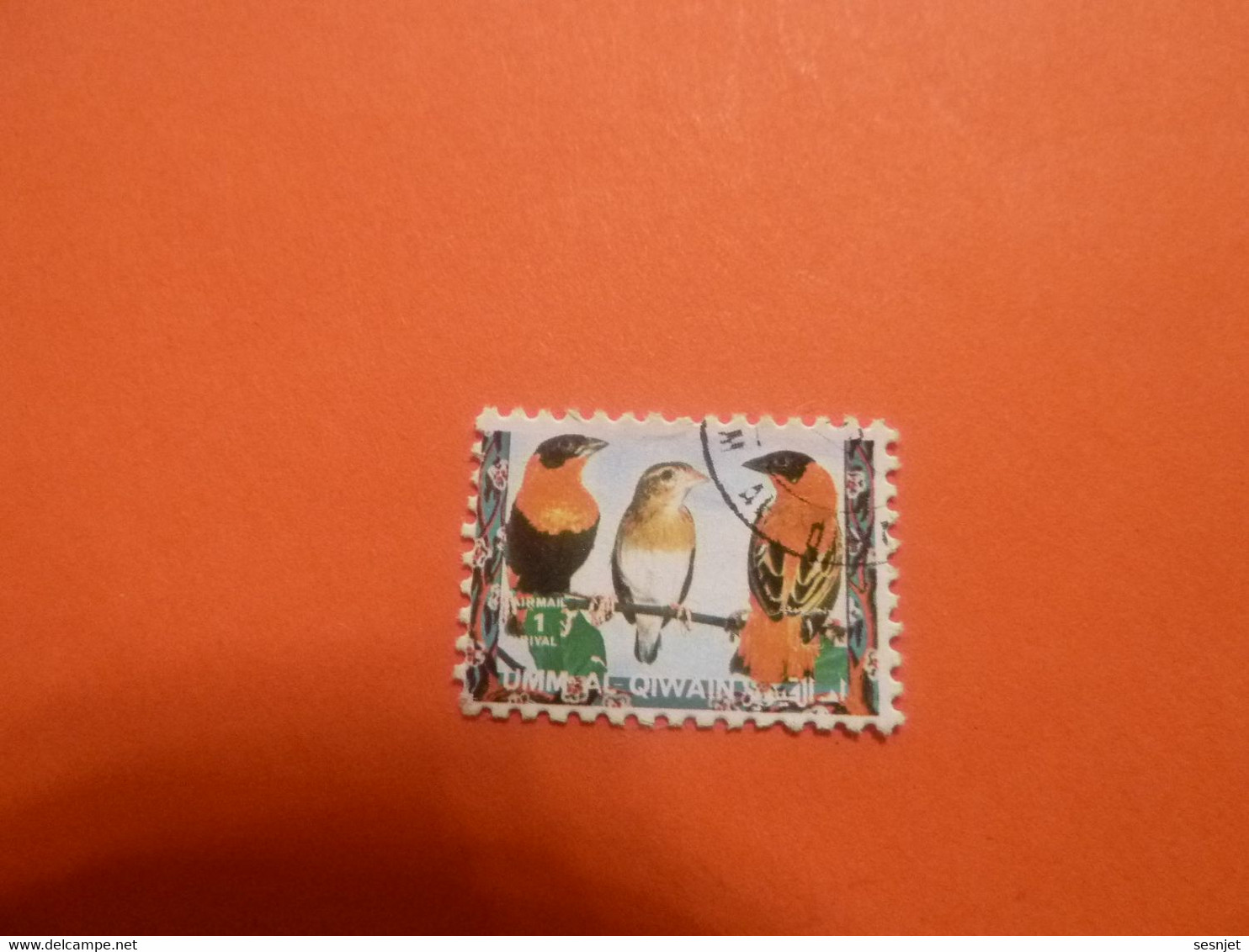 Umm Al Qiwain - Exotic Birds - Val 1 Riyal - Air Mail - Oblitéré - Année 1972 - - Passeri