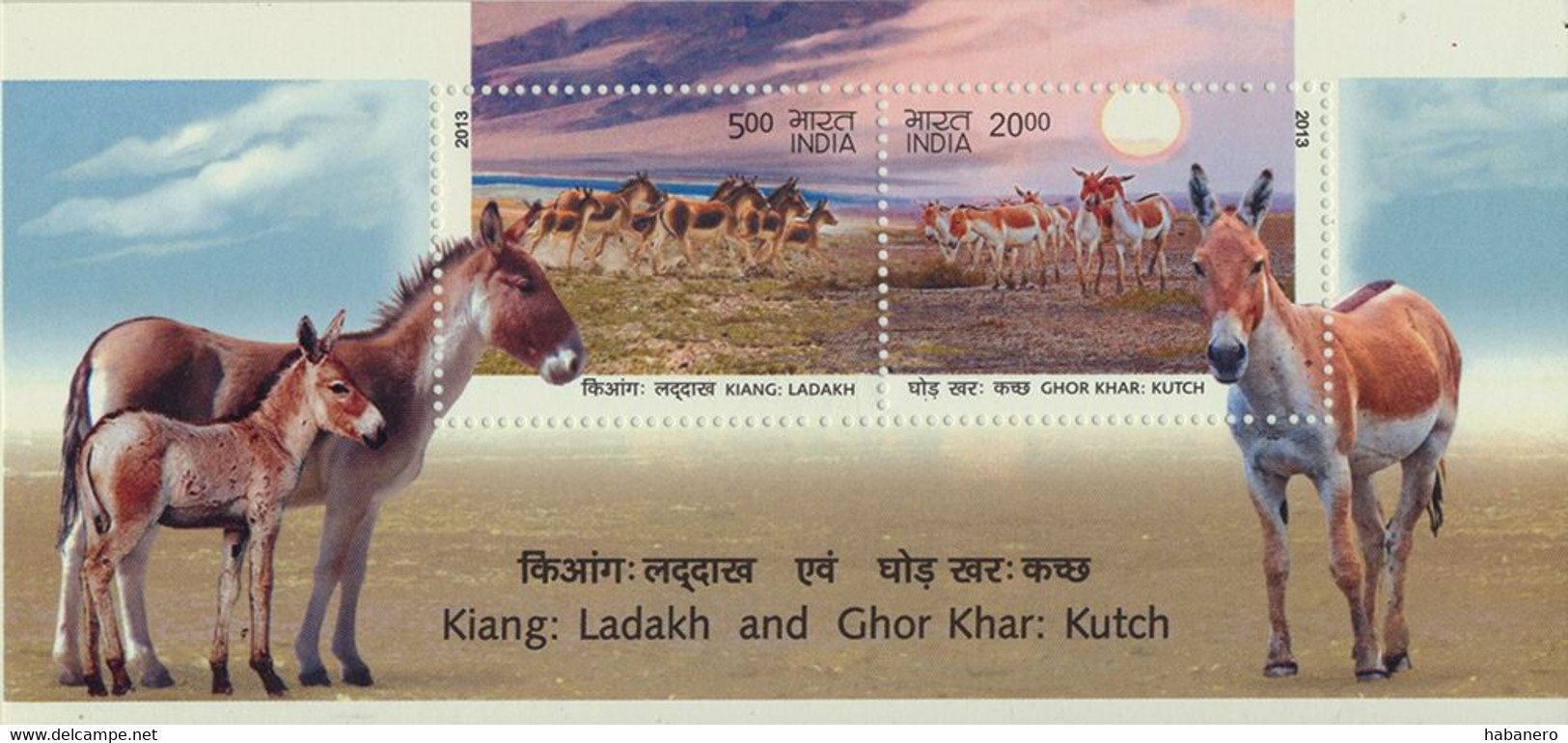 INDIA 2013 Mi BL 114 WILD DONKEYS MINT MINIATURE SHEET ** - Donkeys