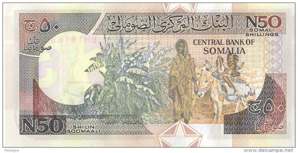 SOMALIE - 50 Shilin 1991 UNC - Somalia