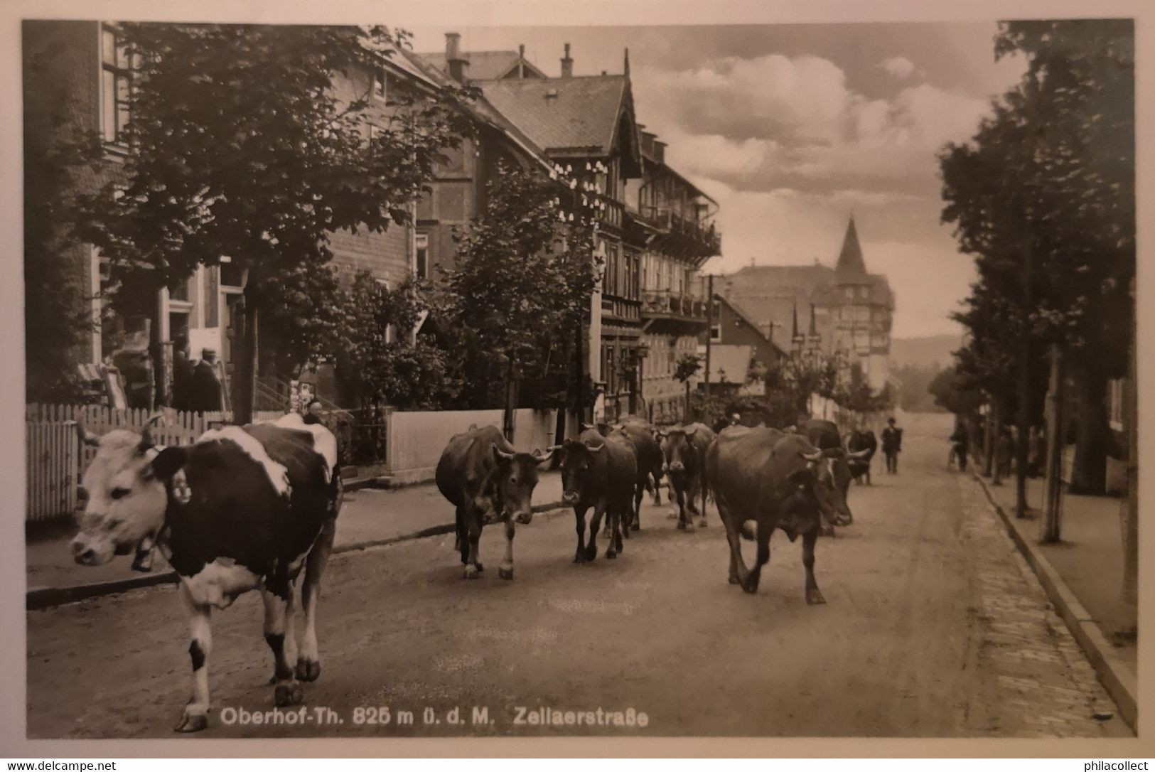 Oberhof Th. // Zellaerstrasse 19?? - Oberhof