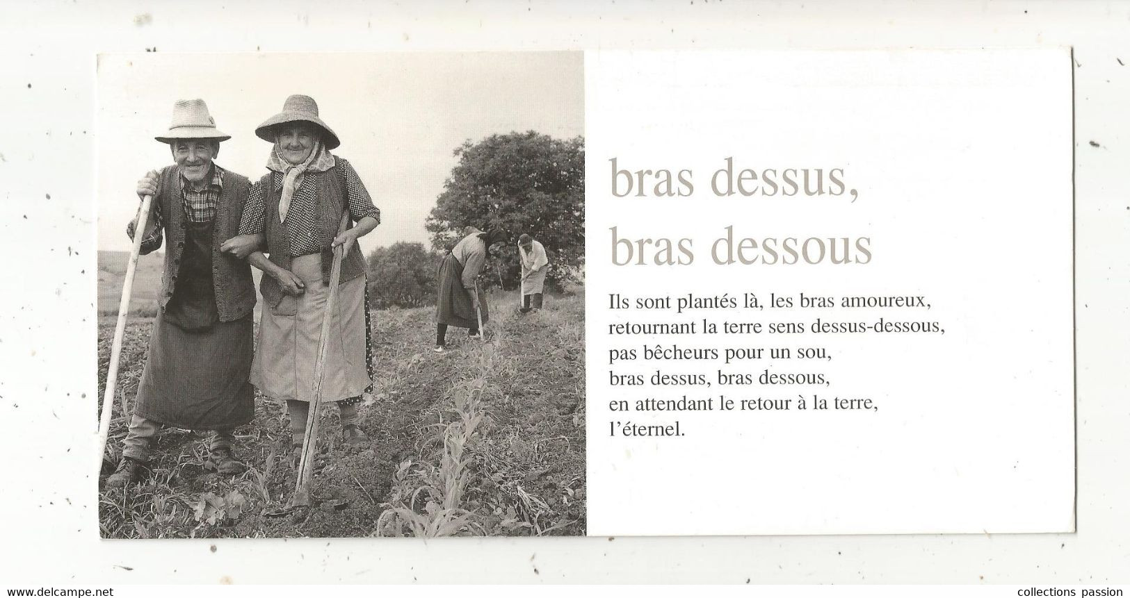 Cp , 210 X 105 Mm, Agriculture, Culture, BRAS DESSUS , BRAS DESSOUS, Photo R. Outters , Vierge, Frais Fr 1.75 E - Landwirtschaftl. Anbau