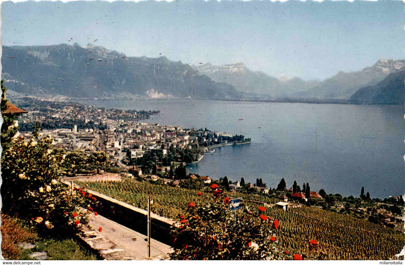 Vevey - Vue Generale Depuis Chardonne (795) * 10. 6. 1964 - Chardonne